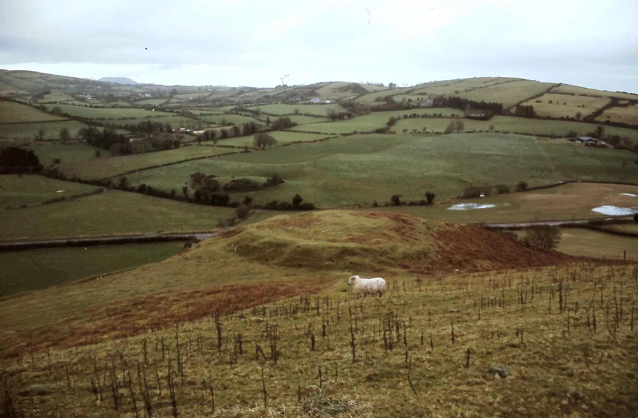 Photo showing: Ringwork in Cullahill Co. Tipperary