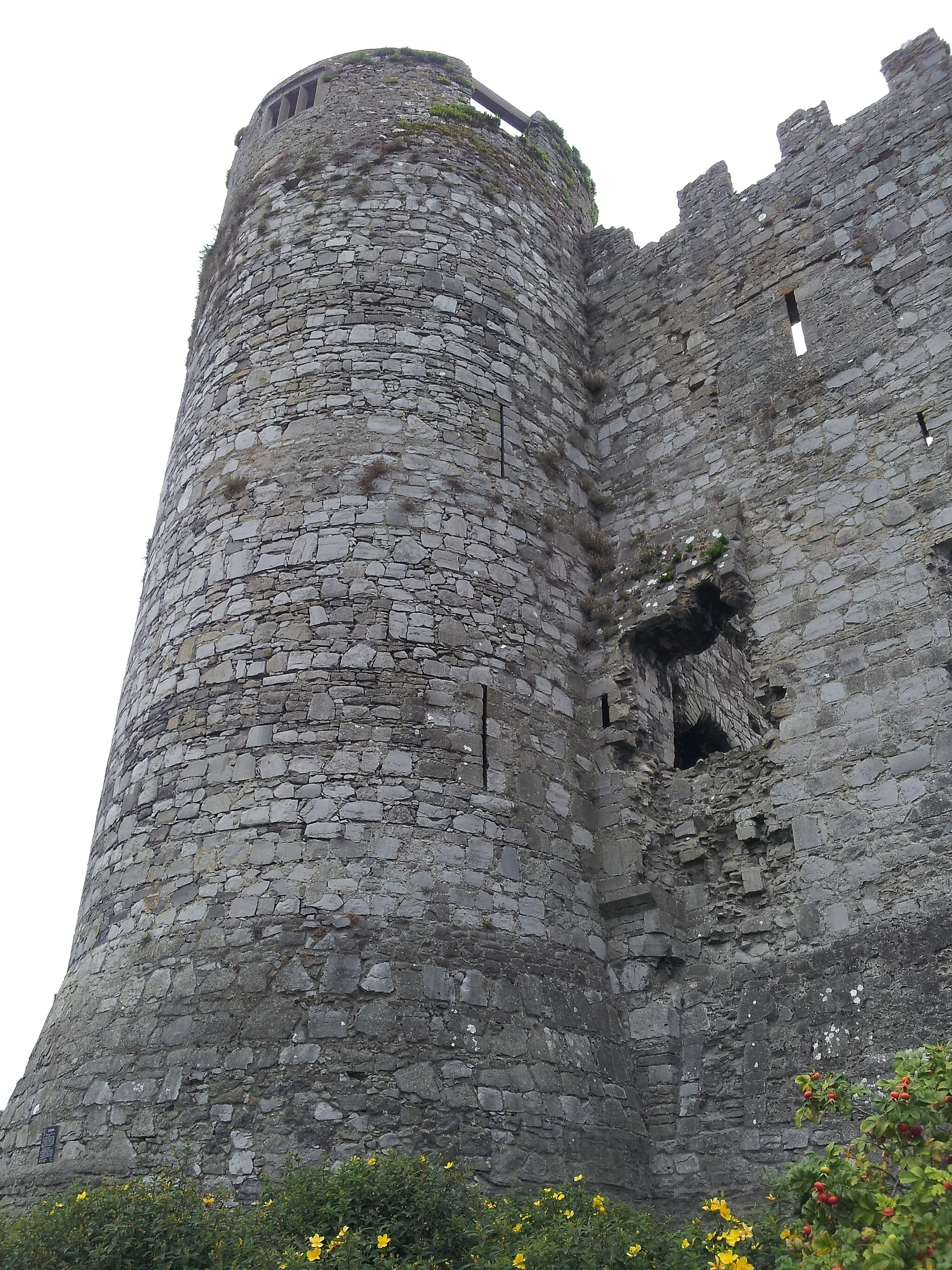 Photo showing: Carlow Castle