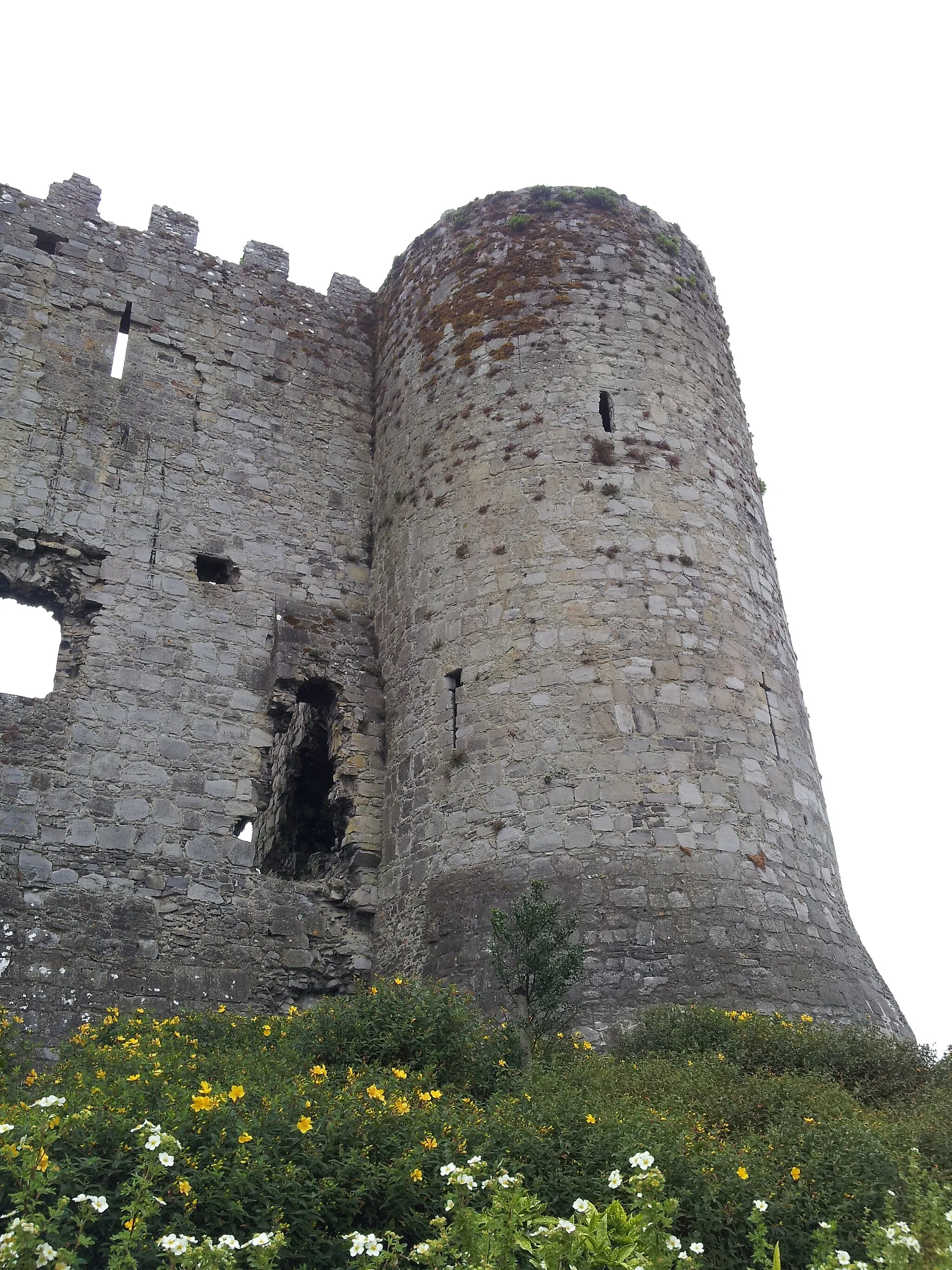 Photo showing: Carlow Castle