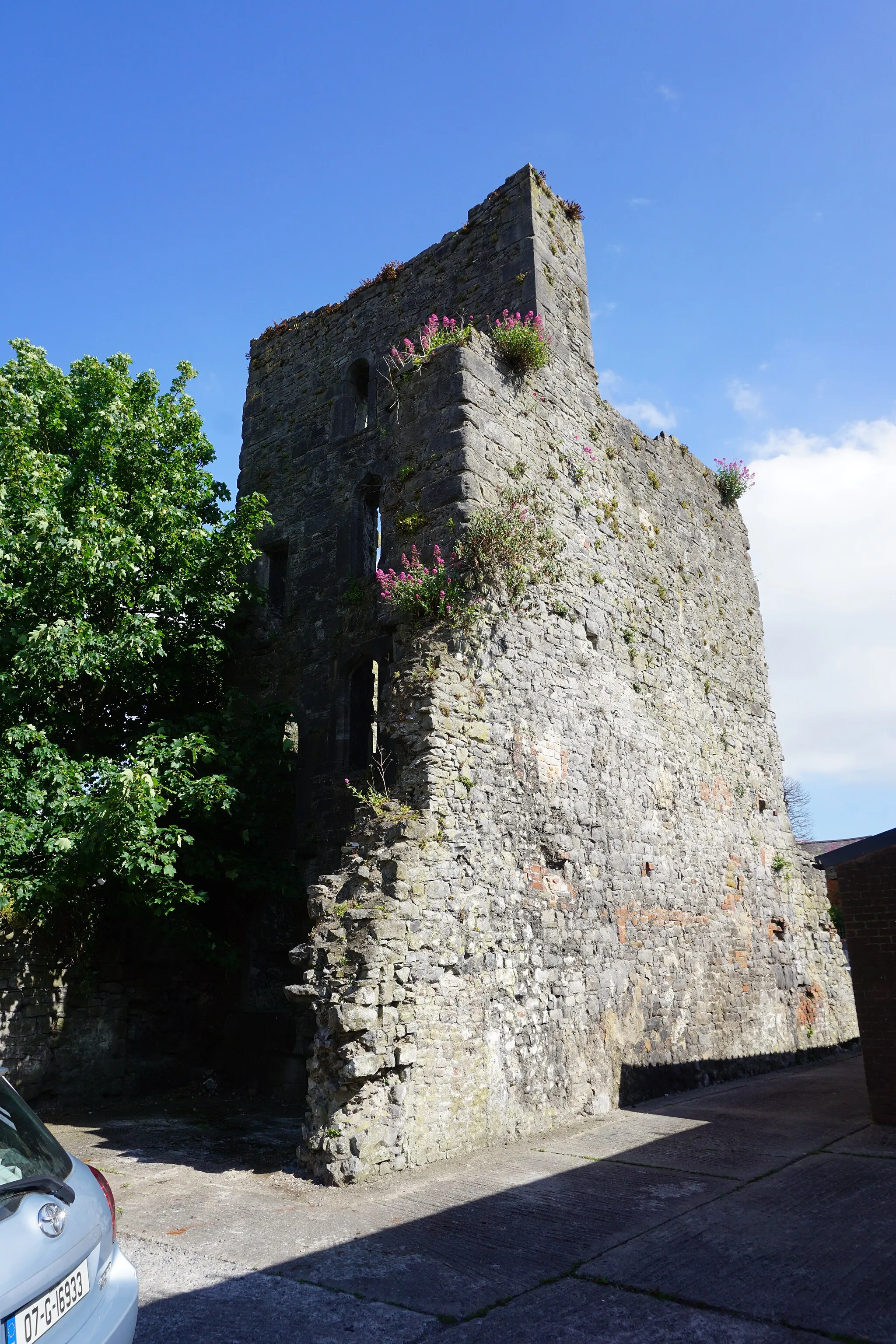 Photo showing: Fanning's Castle, also called Whitamore's Castle, is the remains of a tower house and National Monument located in Limerick, Ireland