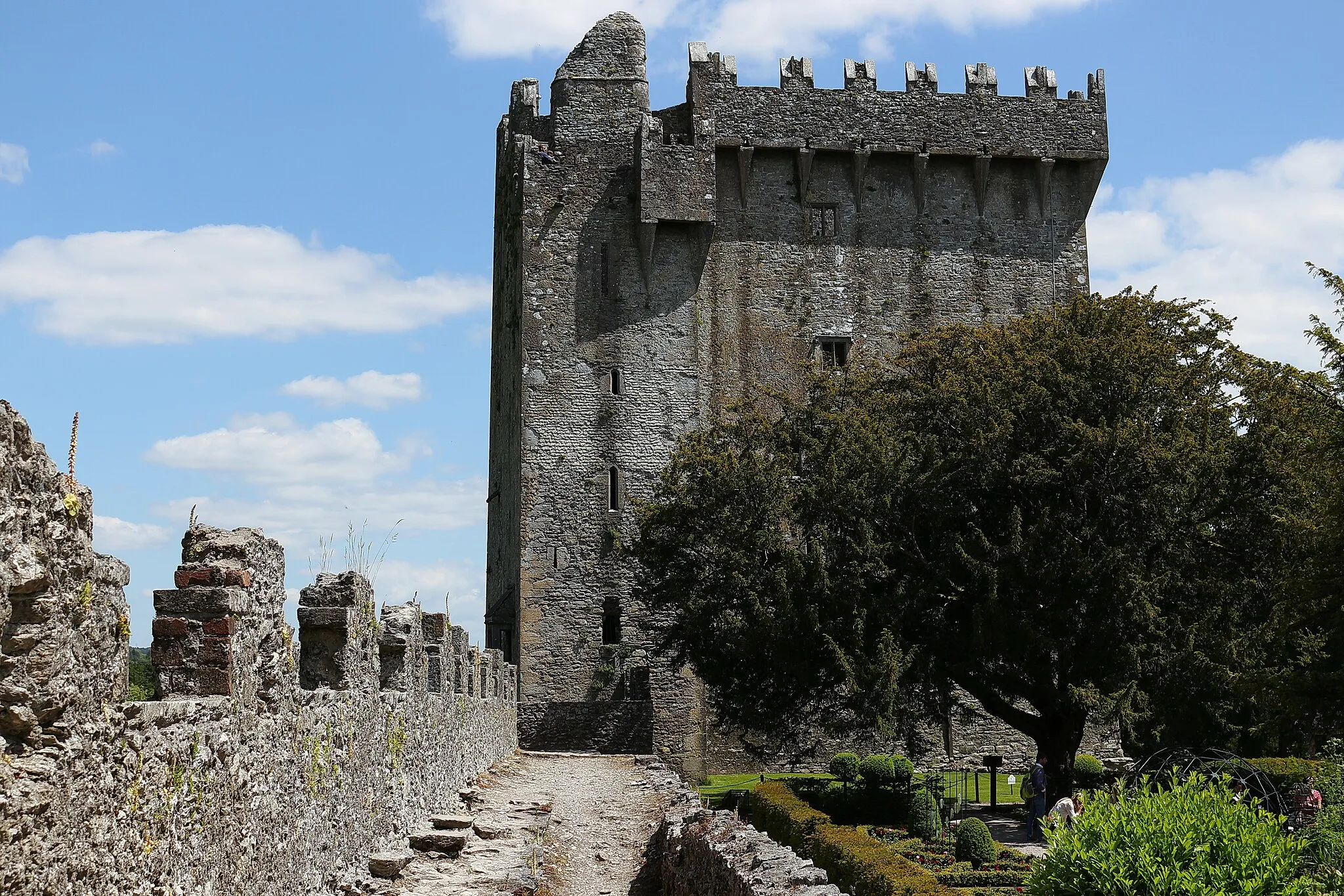 Photo showing: Battlements, Blarney Castle, House & Gardens, Blarney, Co. Cork, Ireland