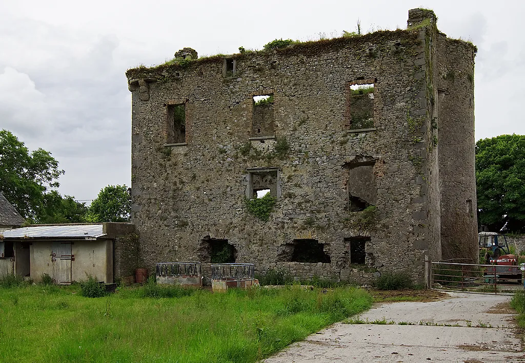 Photo showing: Castles of Munster: Ballyglasheen, Tipperary (2)