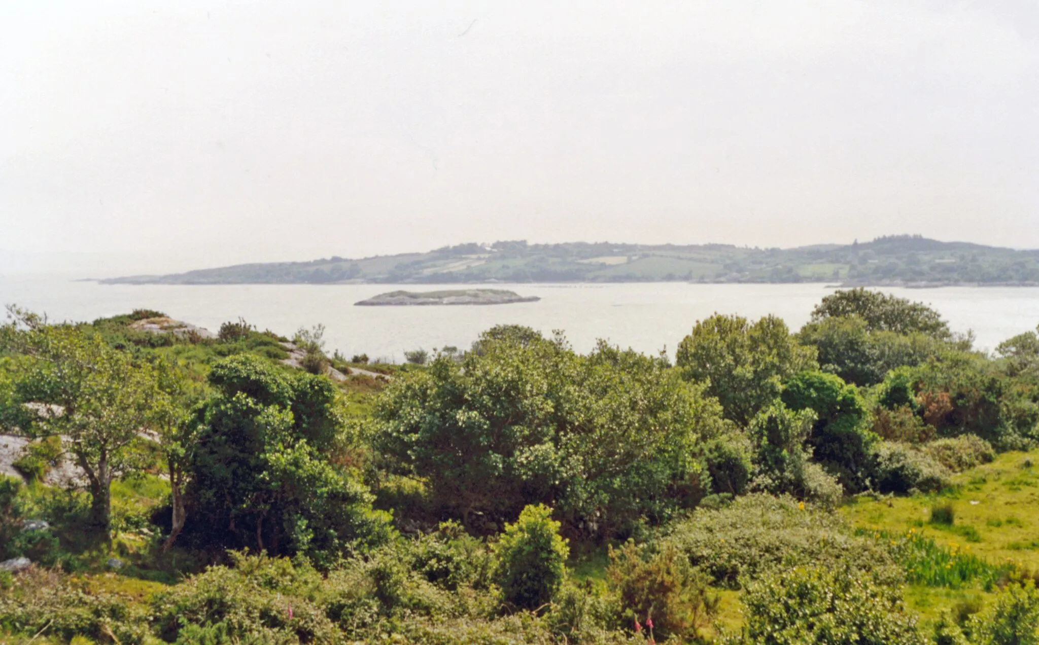 Photo showing: Bantry Bay from near Adrigole, 1993