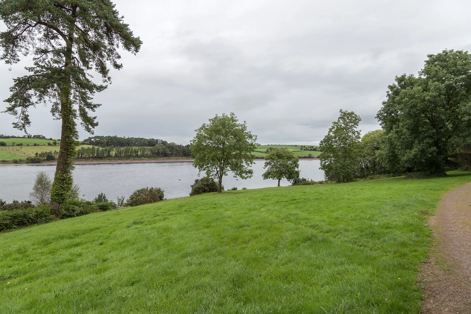 Photo showing: Taiscumar Reservoir from Farran Forest