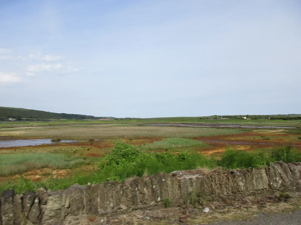 Photo showing: The Youghal Mudflats