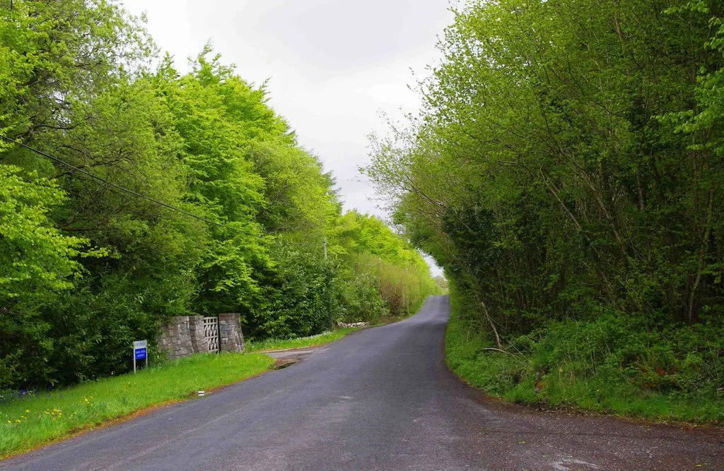 Photo showing: The L4104 road near Finanagh, Co. Clare. The L4104 road is a minor road and a turning off the R469 road from the town of Ennis to Quin. There are extensive woods on the right (east) side of the L4104 road.