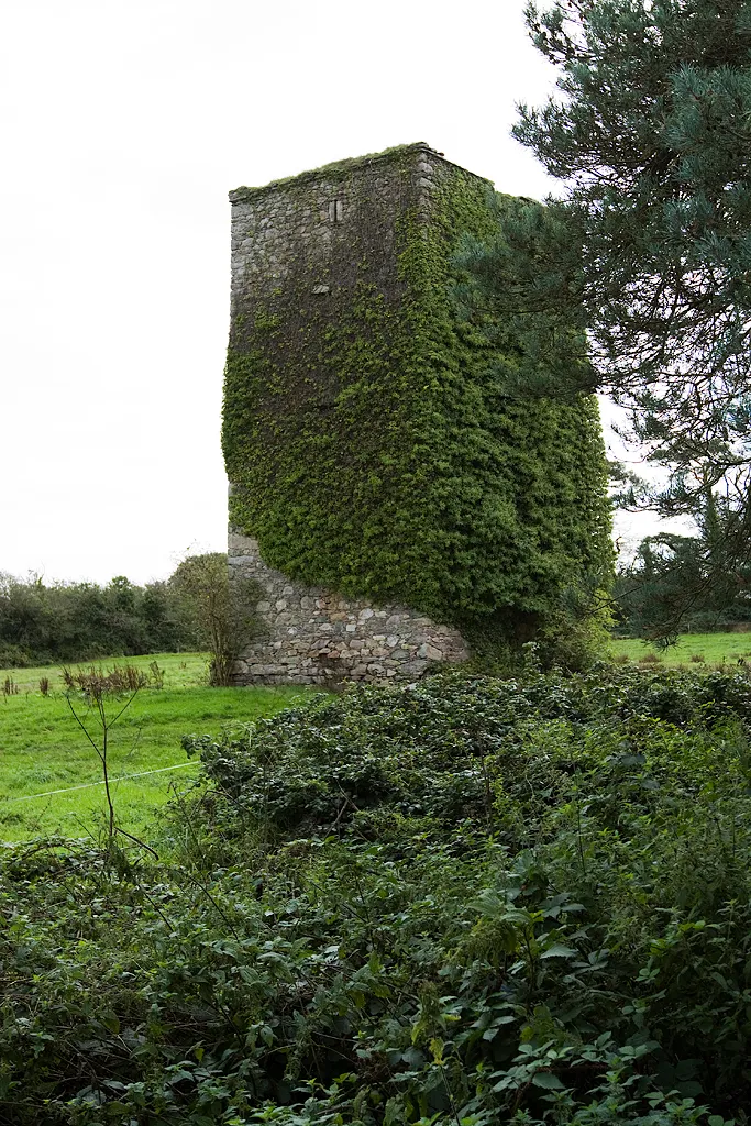 Photo showing: Castles of Leinster: Barntown, Wexford (1)