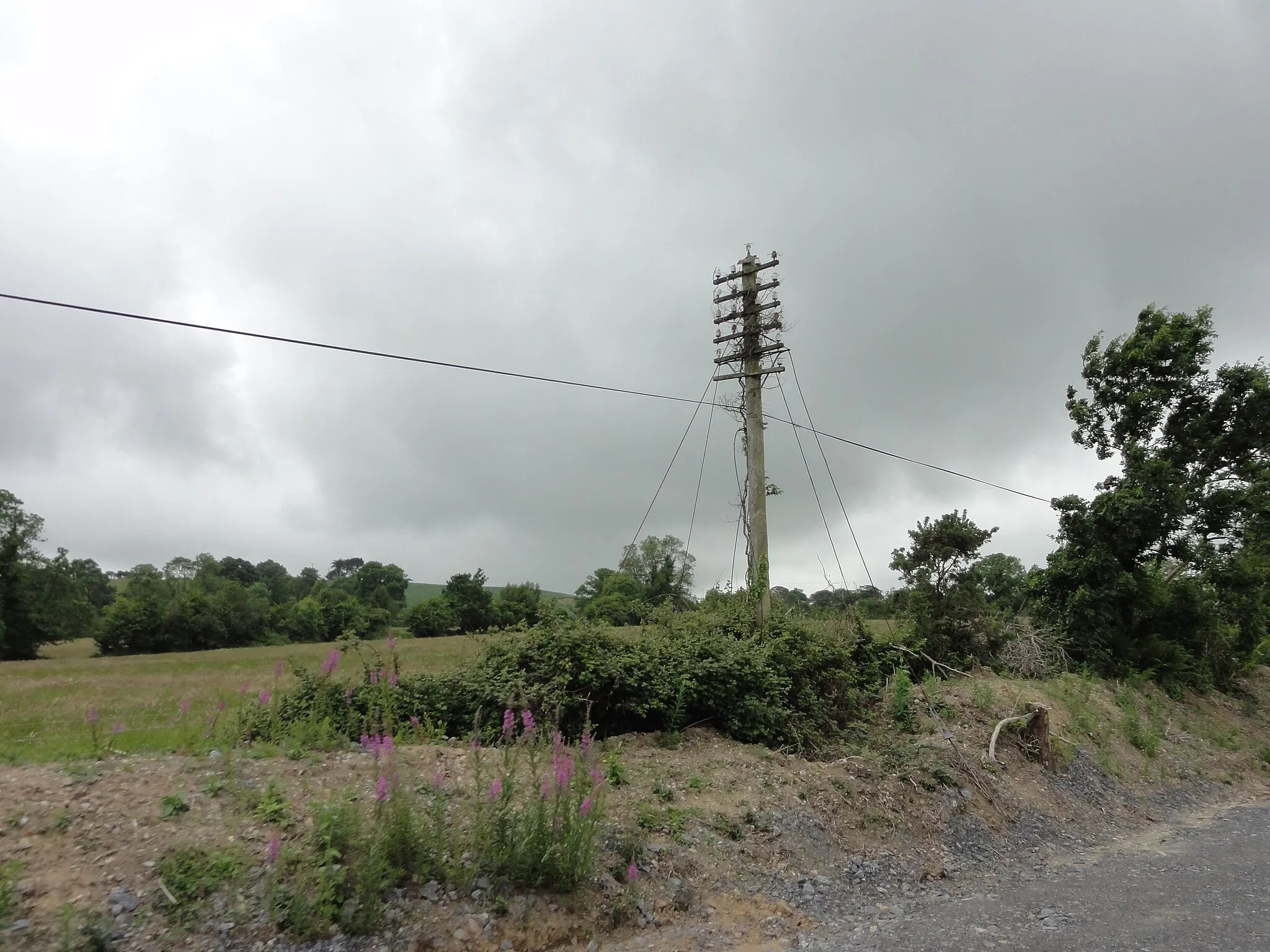 Photo showing: Communications pole