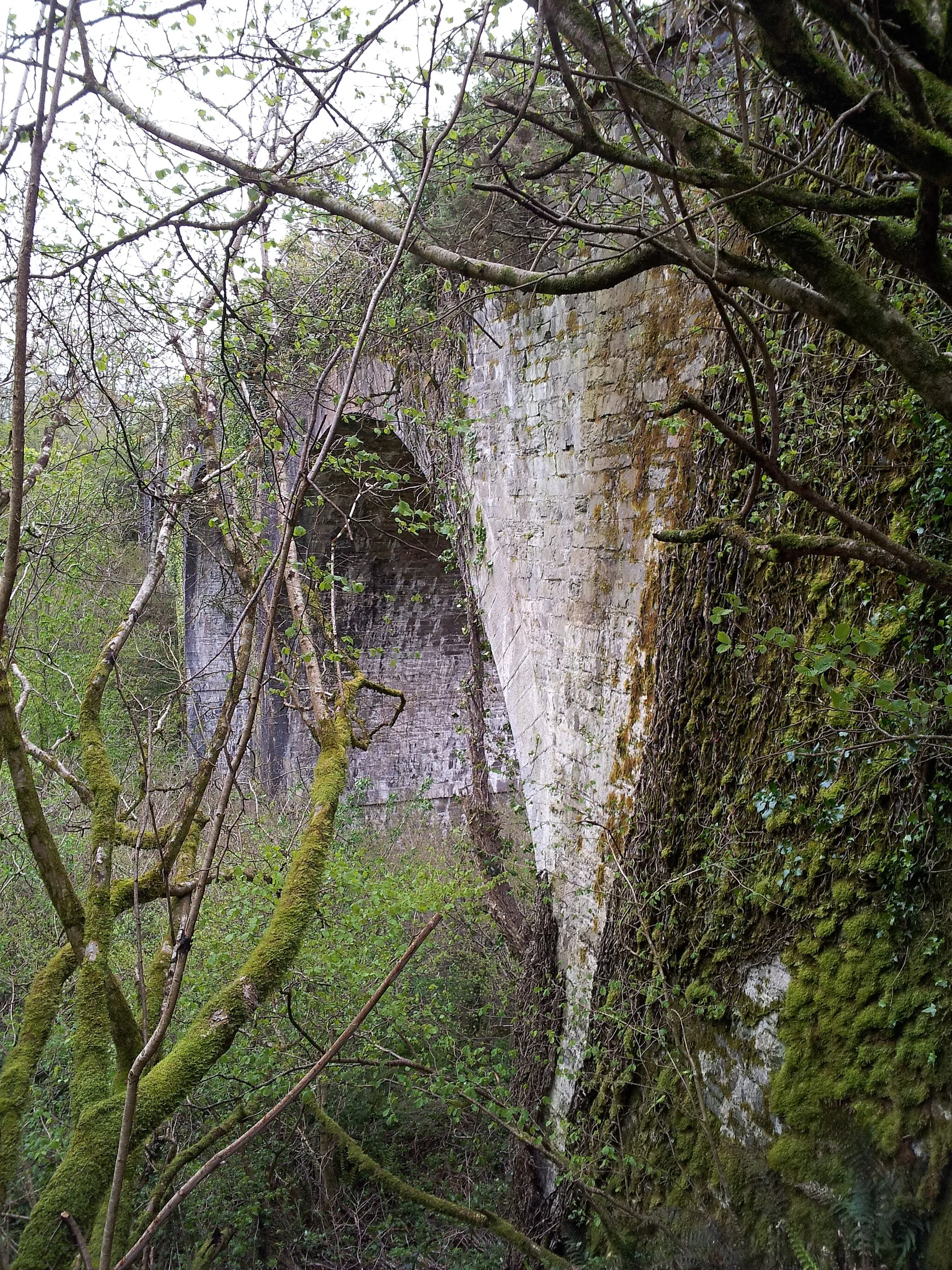 Photo showing: Halfway Viaduct (Disused)