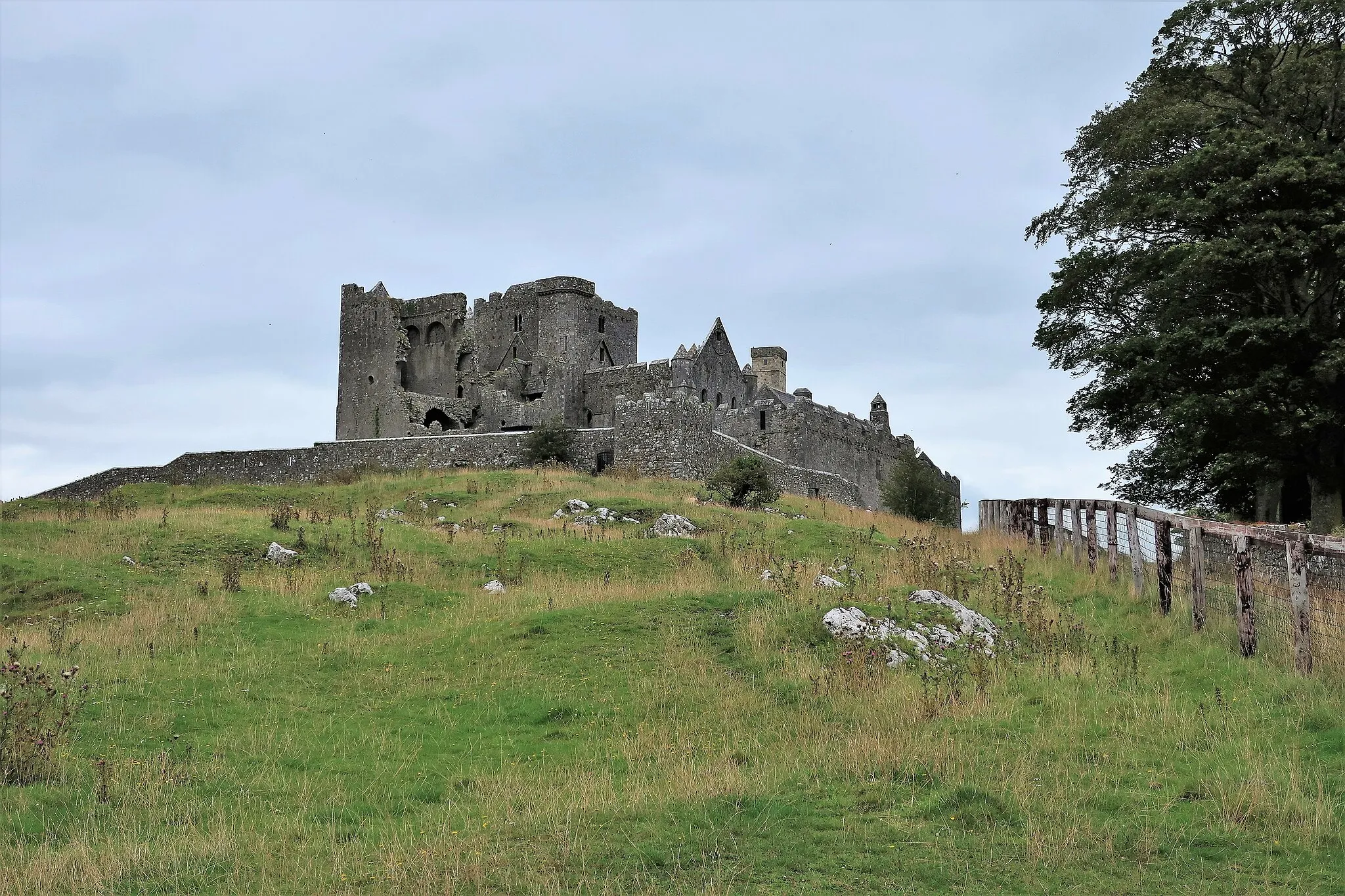 Photo showing: Blick von Süden auf den Rock of Cashel.