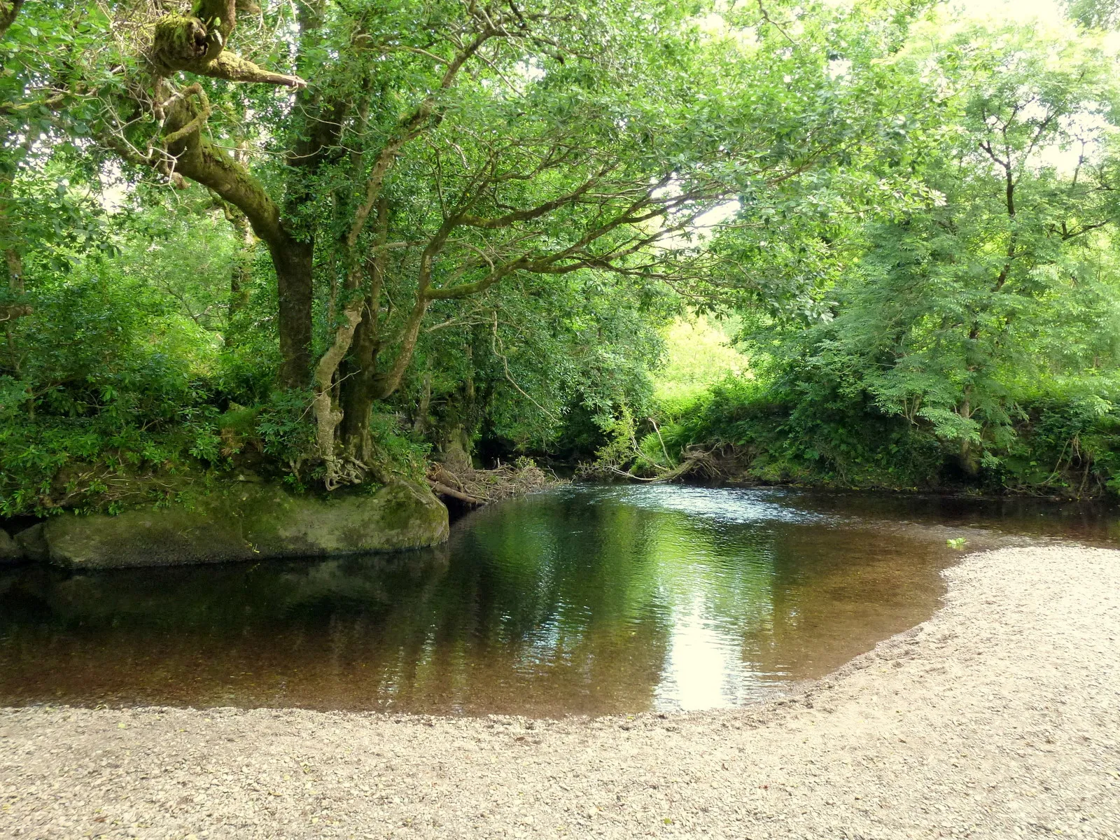 Photo showing: The Glengarriff River, 1