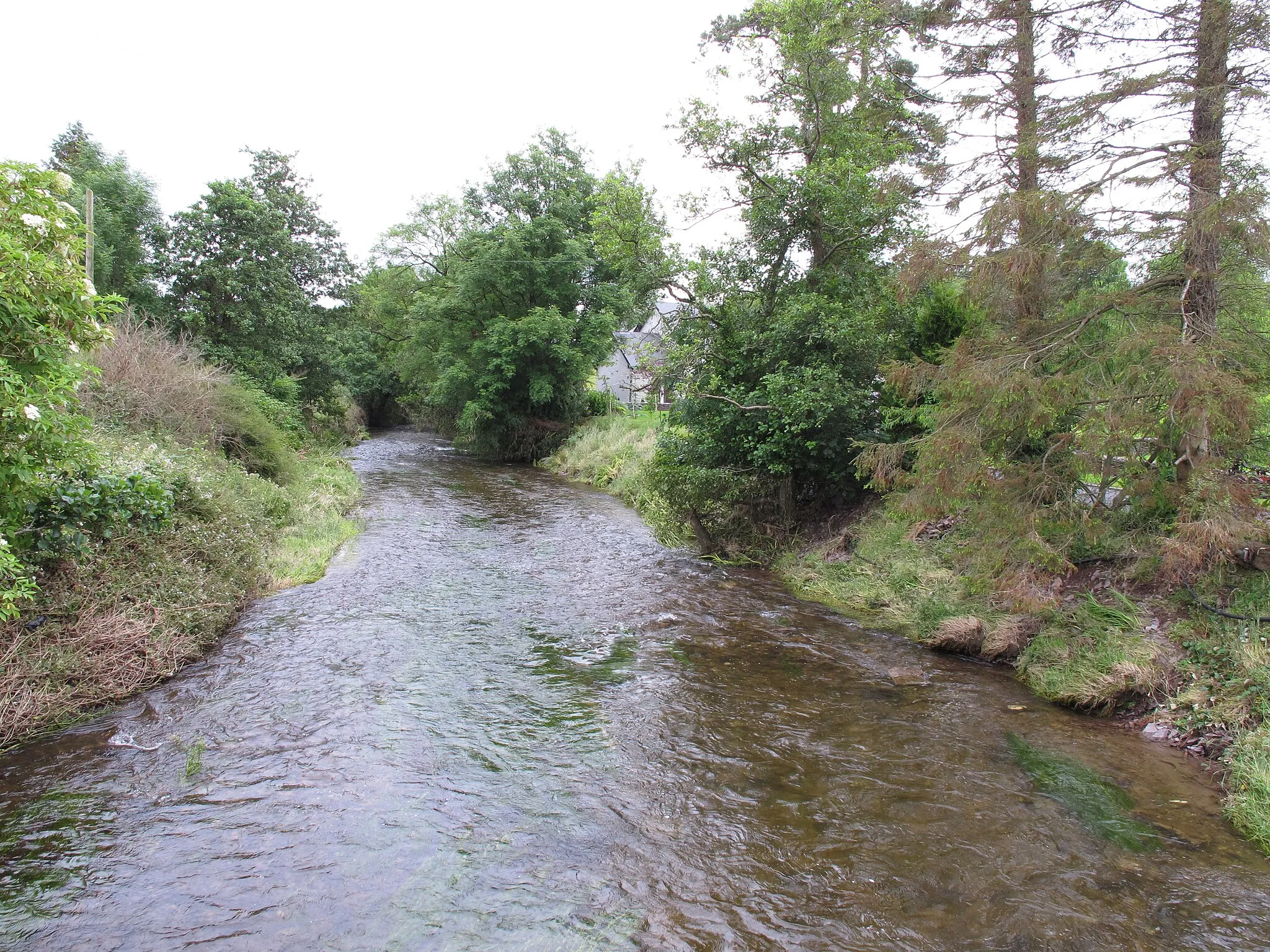 Photo showing: Shournagh River at Fox's Bridge near Courtbrack, Cork