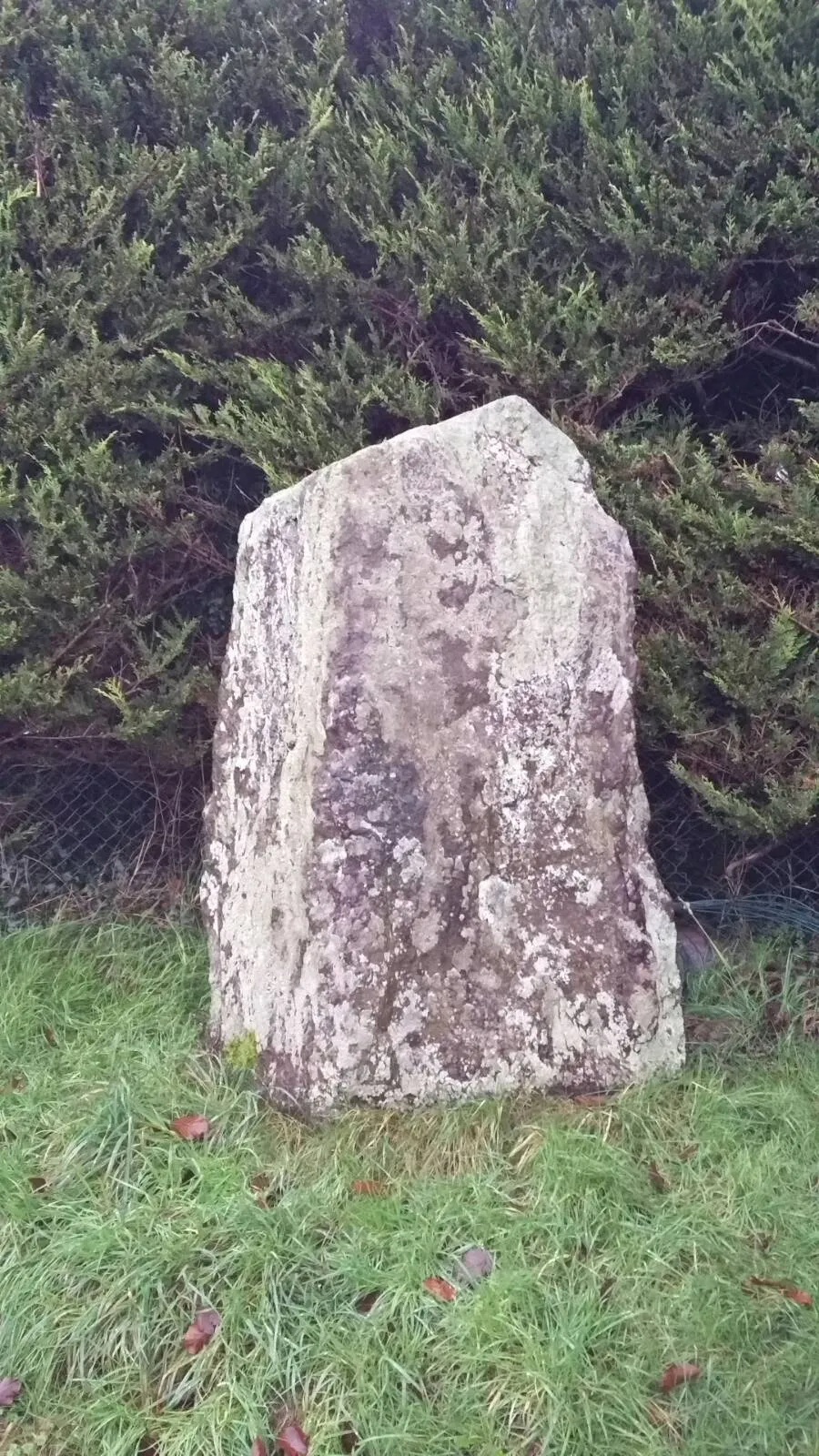 Photo showing: This standing stone is located in the pitch behind the community centre, though some older maps appear to show it in the back garden of a neighbouring house. It is easily accessible from the road and visible from the rear car-park of the community centre.
The stone's National Monuments Service database ID is CO09022. The NMS coordinates given are: Lat:51.967043, Long:-8.645151