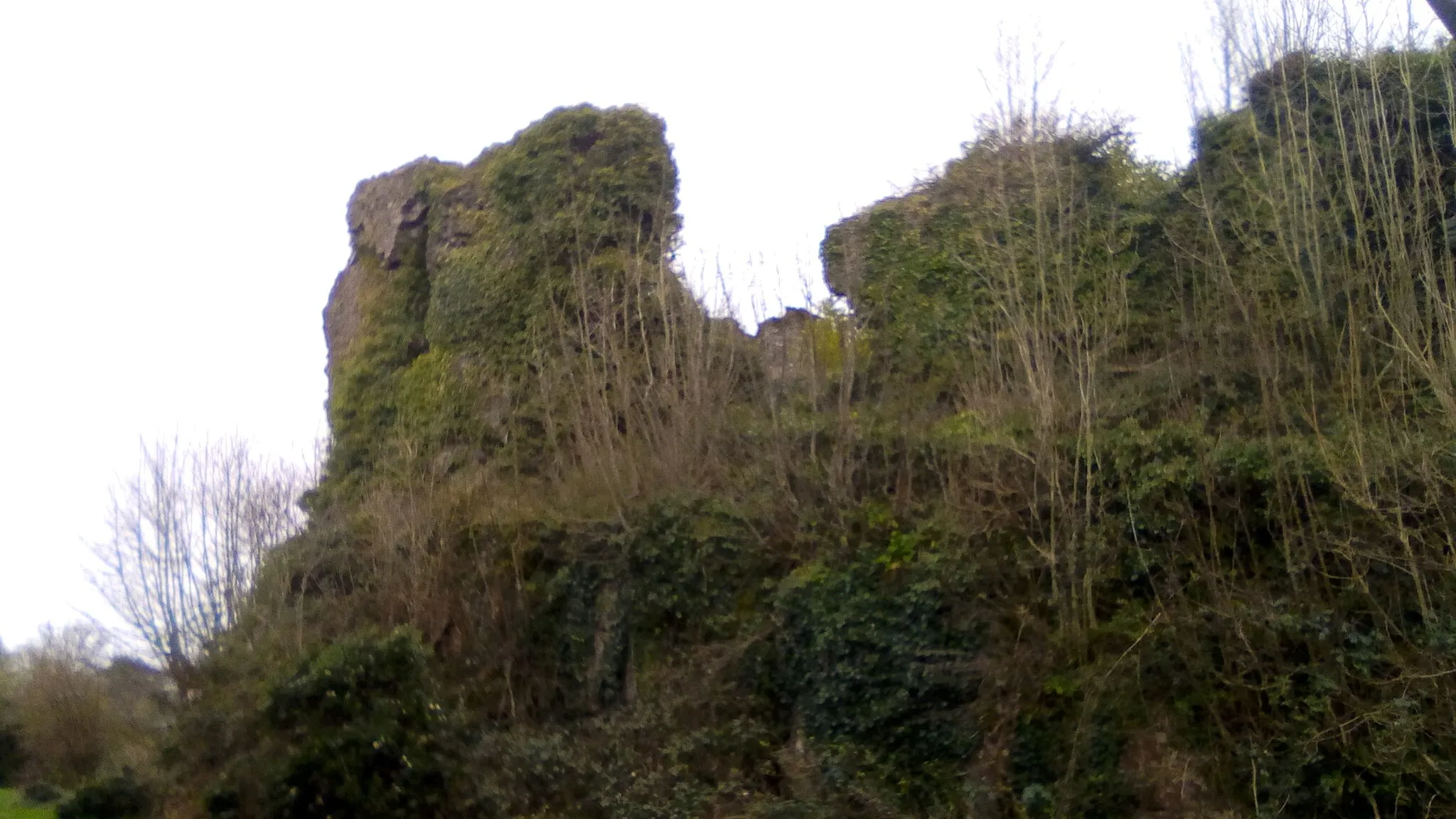 Photo showing: Ruins of Castle Connell photgraphed in March 2020