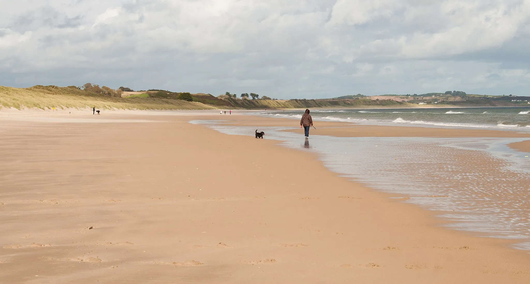 Photo showing: Curracloe Beach at the White Gap, looking north.