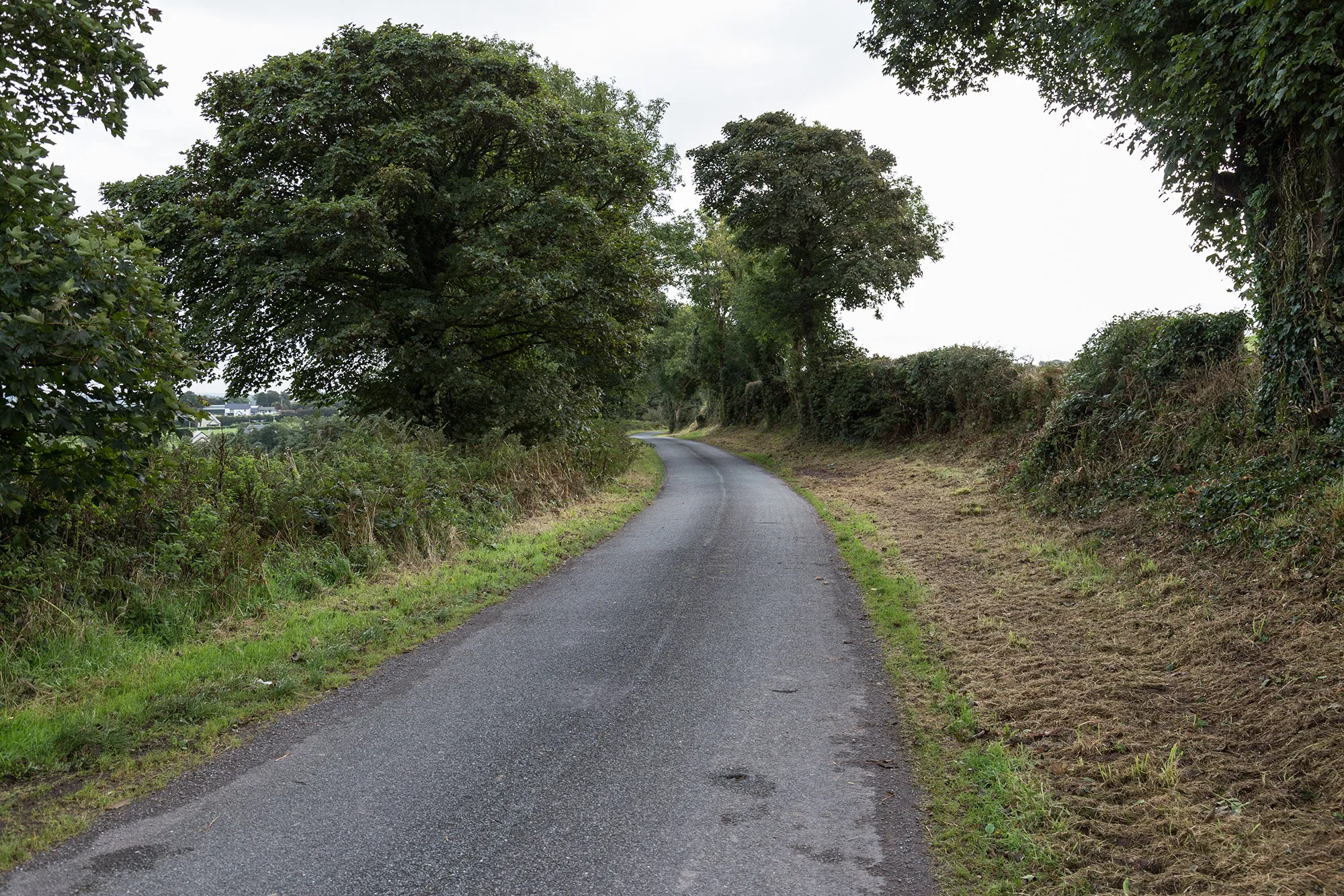 Photo showing: Minor lane near Aglish