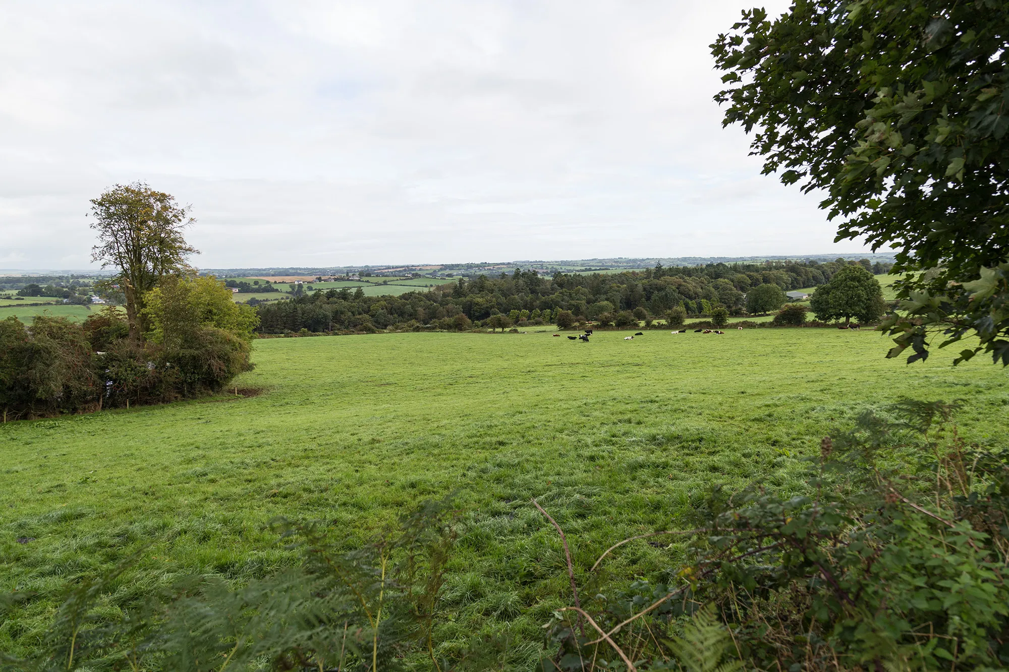 Photo showing: Fields north of minor lane