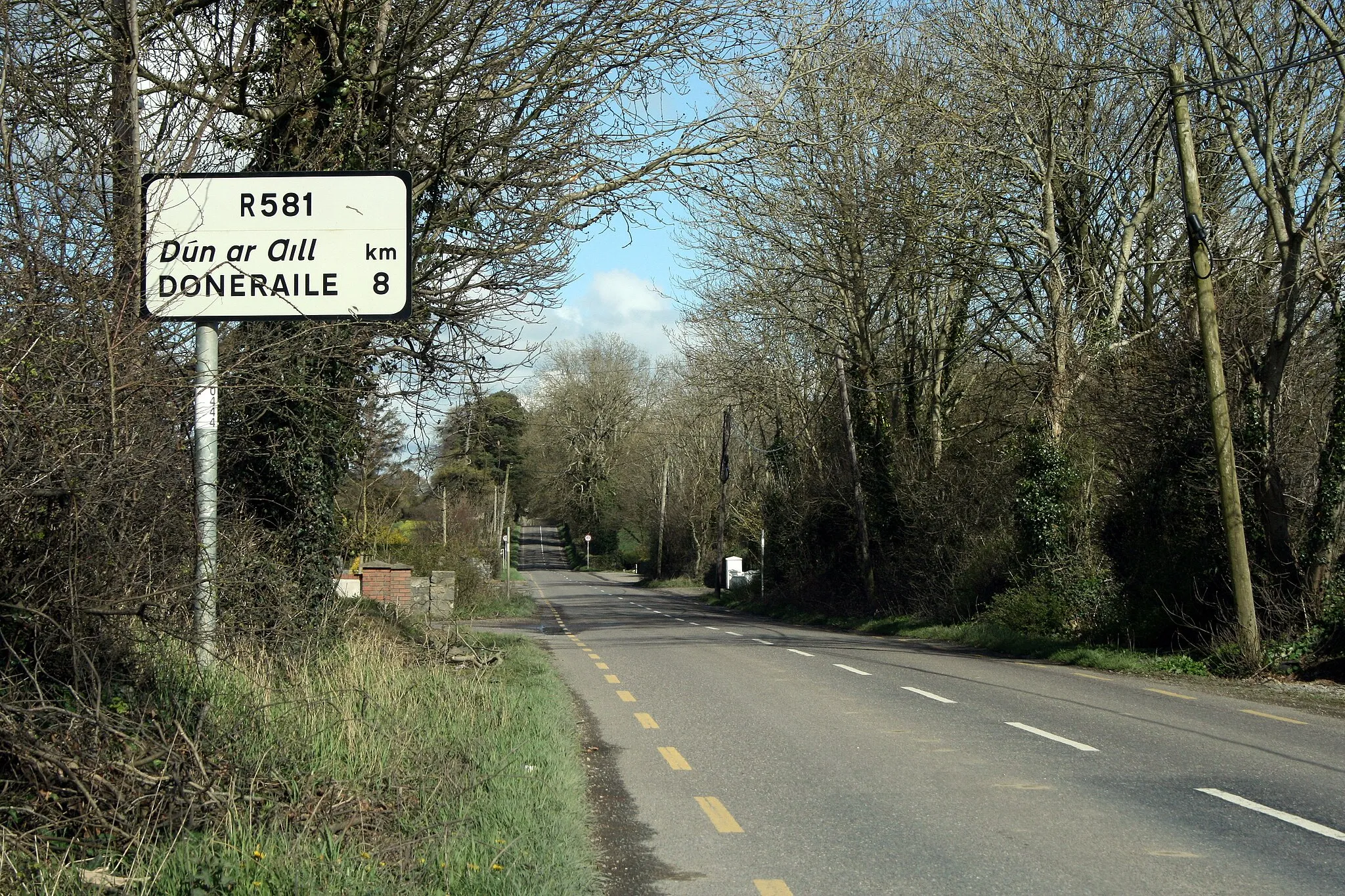 Photo showing: The R581 north of Mallow in North Cork