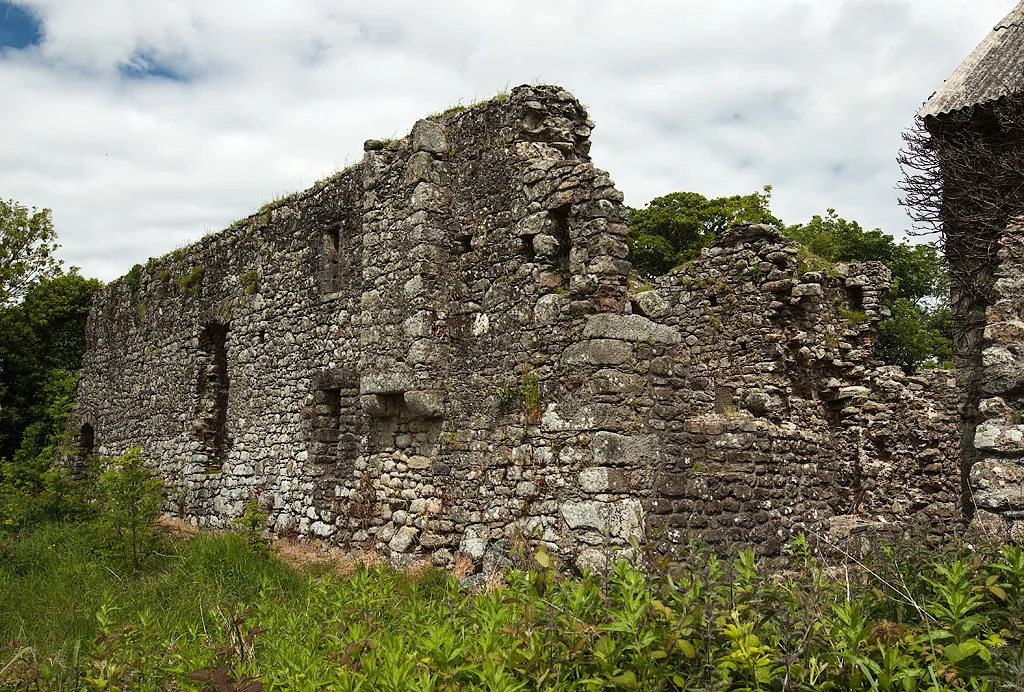 Photo showing: Castles of Leinster: Rathumney, Wexford (1)