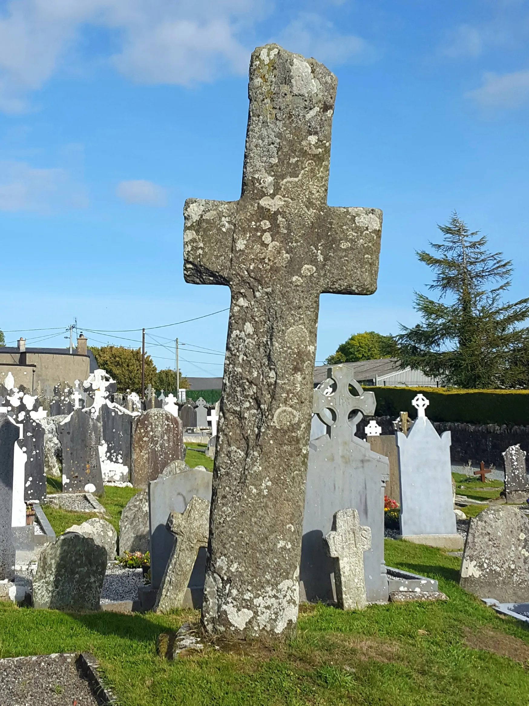 Photo showing: County Wexford, St Abbans Cross.