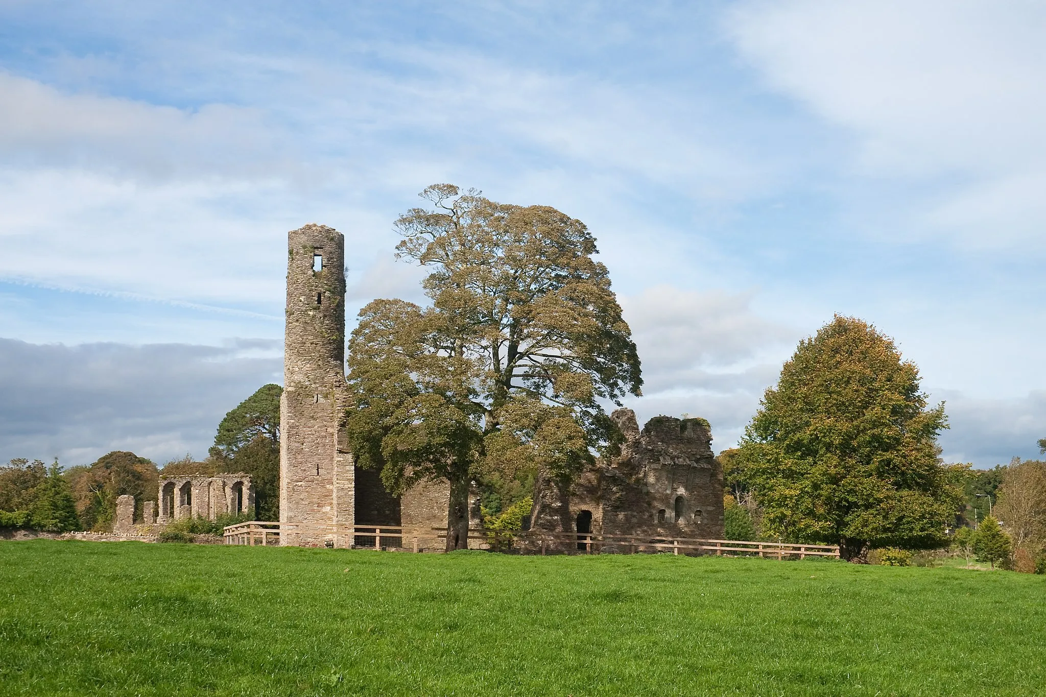 Photo showing: Ferns Abbey, Ferns, County Wexford, Ireland

South range of Ferns Abbey. At the left, the 13th-century ruins of Ferns Cathedral are to be seen.