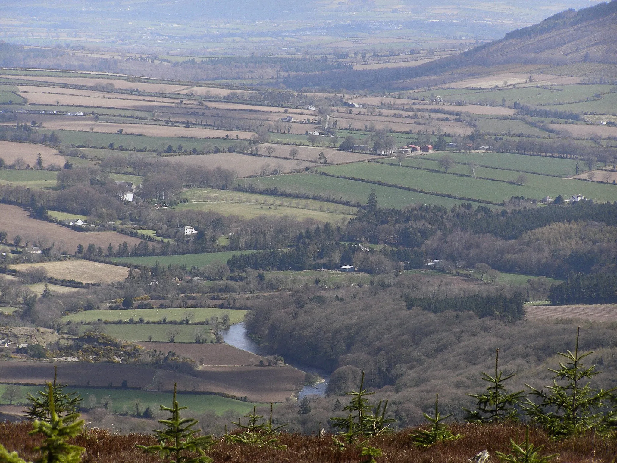 Photo showing: River Nore