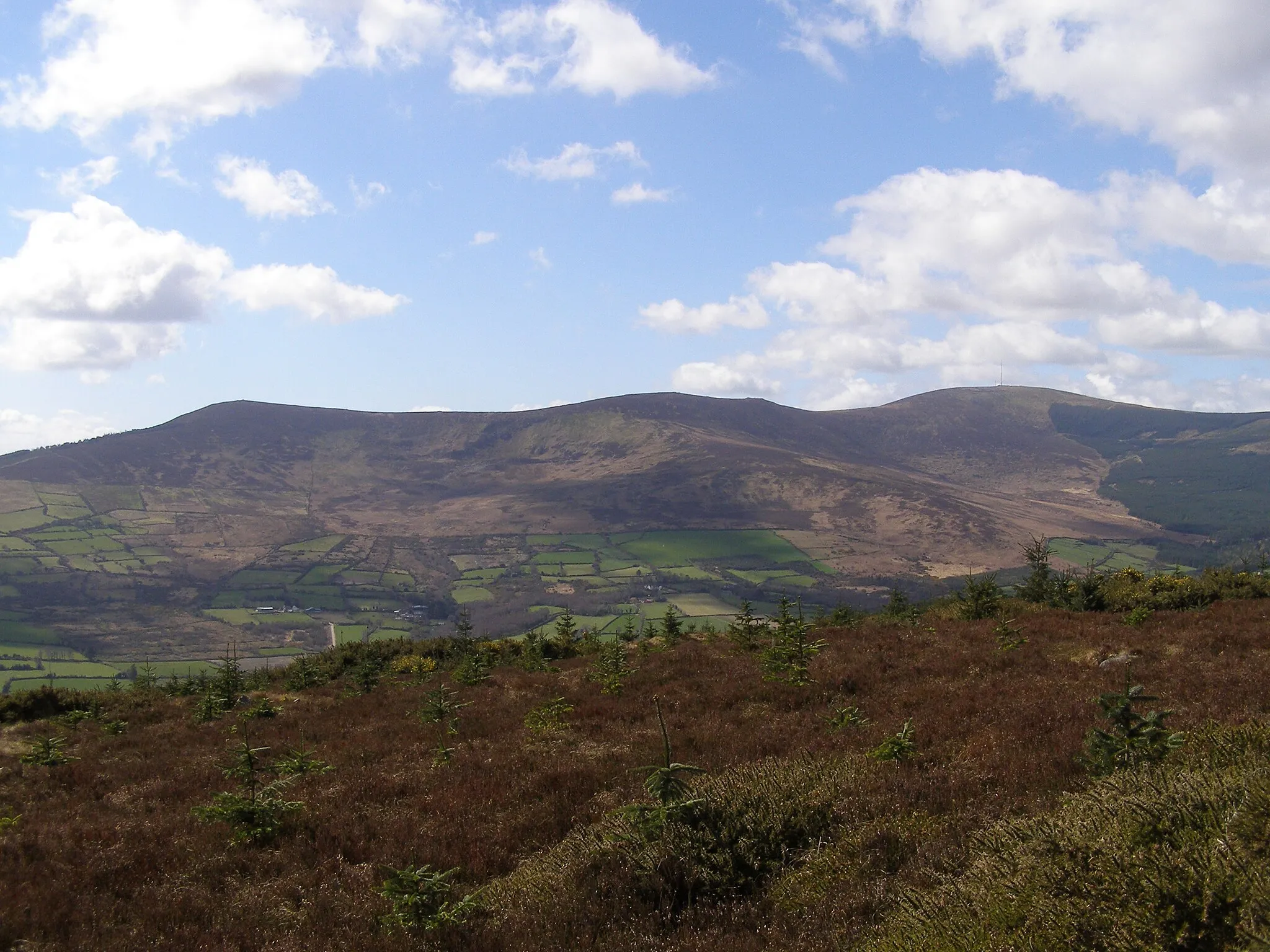 Photo showing: Deerpark New, Co. Carlow, Ireland