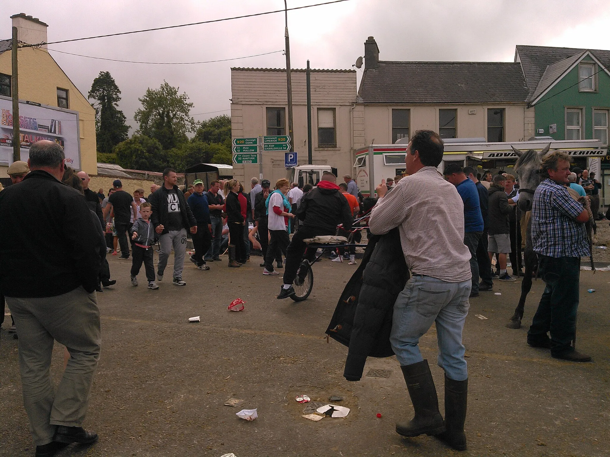 Photo showing: Cahirmee horse fair 2015 Buttevant