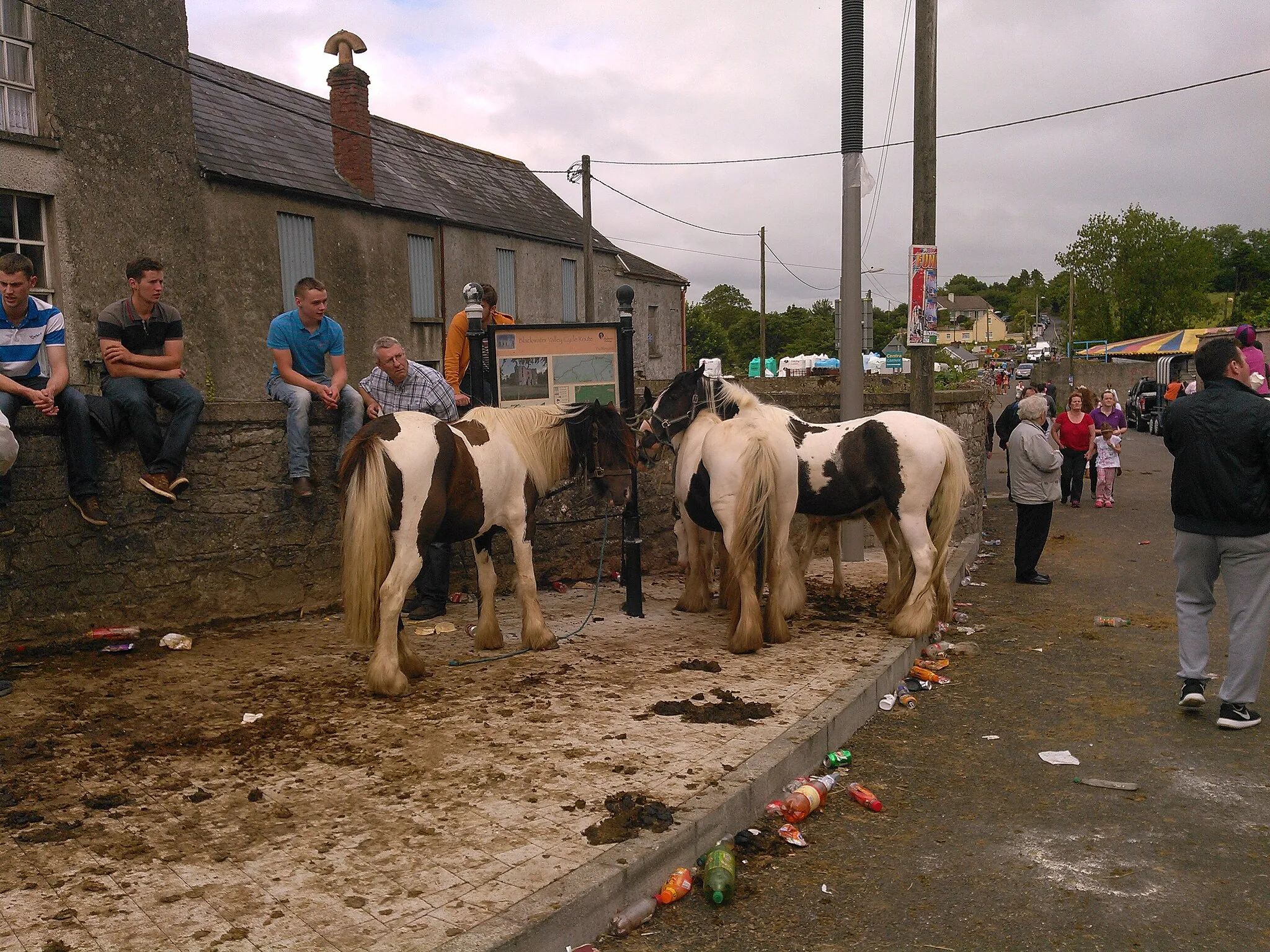 Photo showing: Cahirmee horse fair 2015 Buttevant