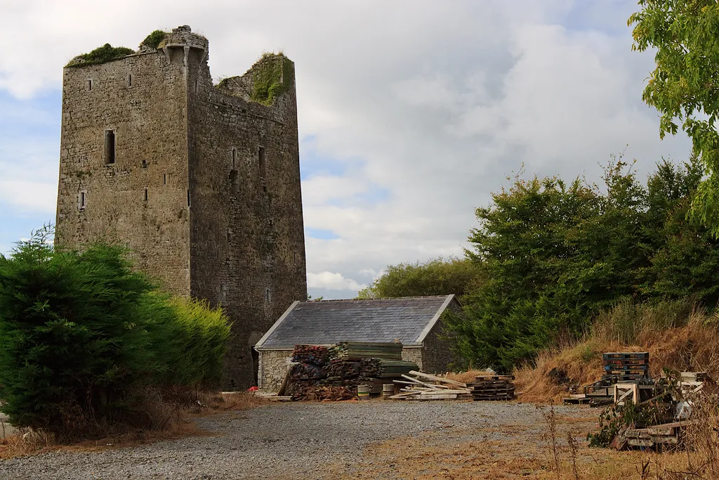 Photo showing: Castles of Munster: Borris or Black Castle, Tipperary Visible from the main road, this castle in the village of Twomileborris has as its main distinctive feature, circular bartizans set on pyramidal corbels at both the NE and SW corners.