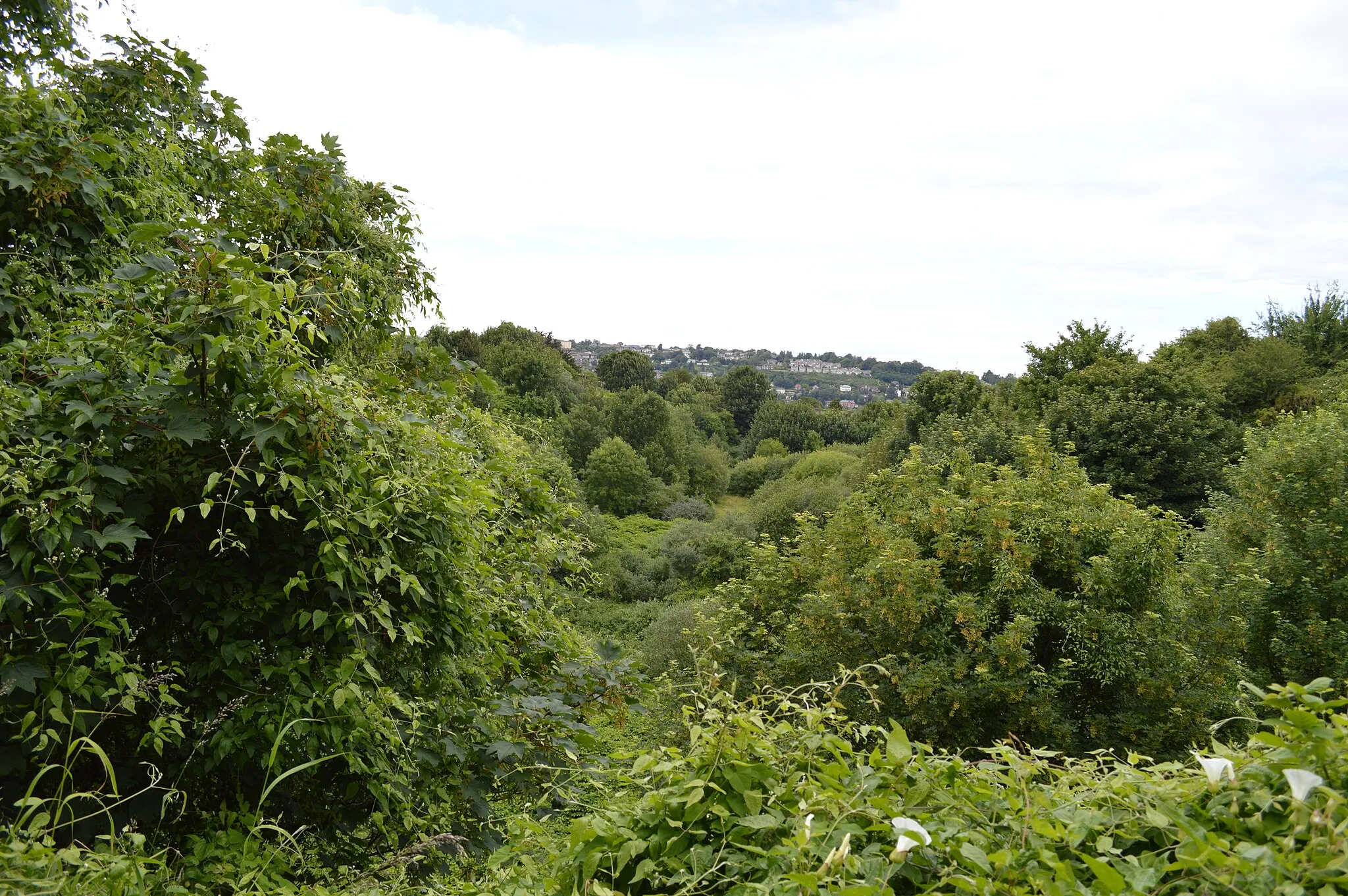 Photo showing: Ballintemple, Cork, Ireland