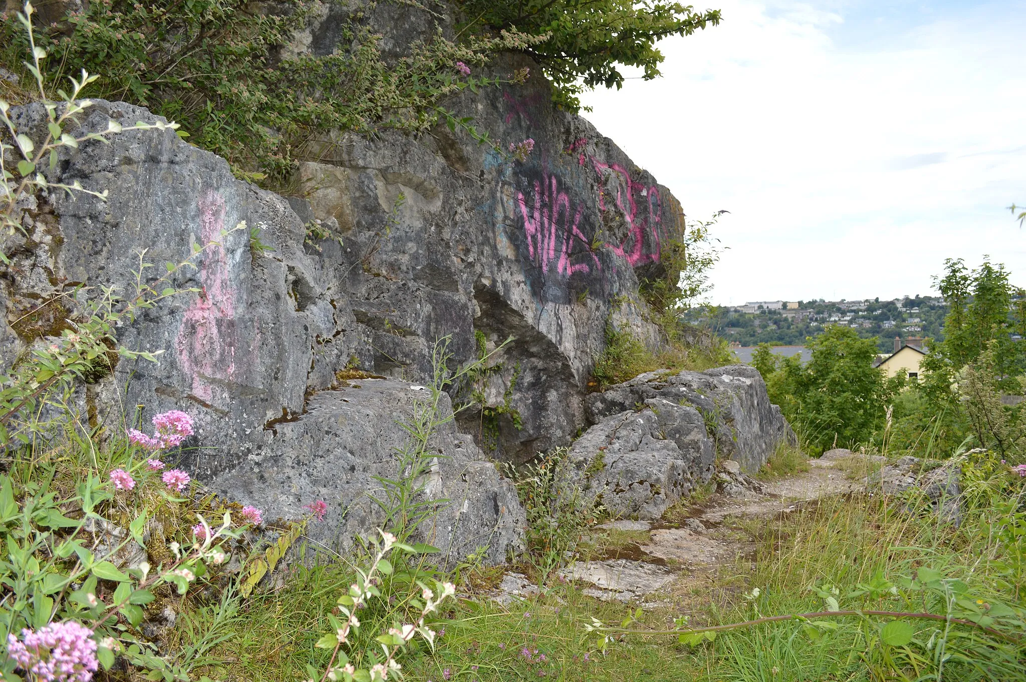 Photo showing: Ballintemple, Cork, Ireland