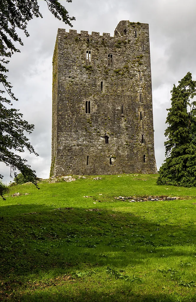 Photo showing: Castles of Munster: Conna, Cork - revisited