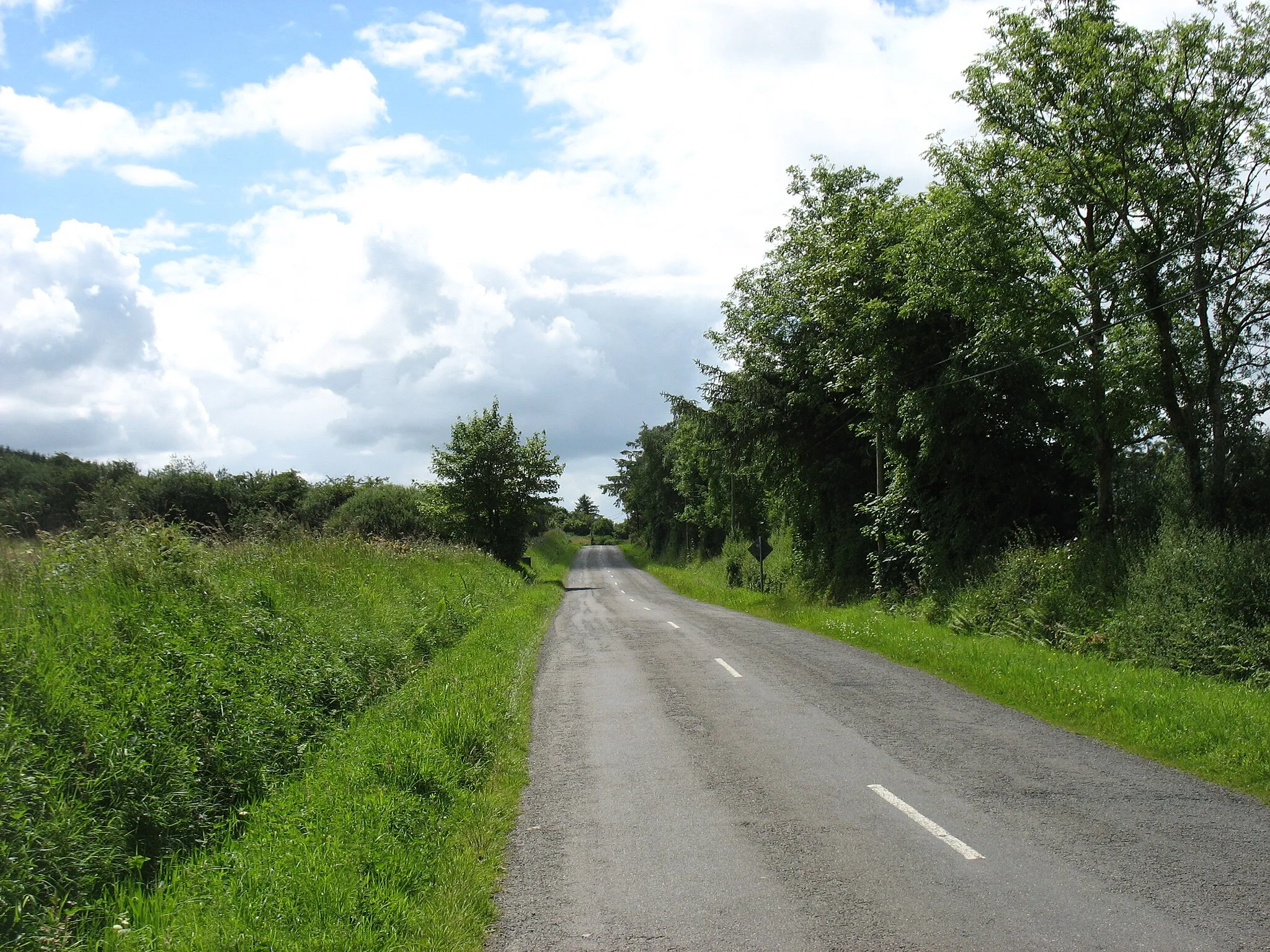 Photo showing: The road to Ballingarry
