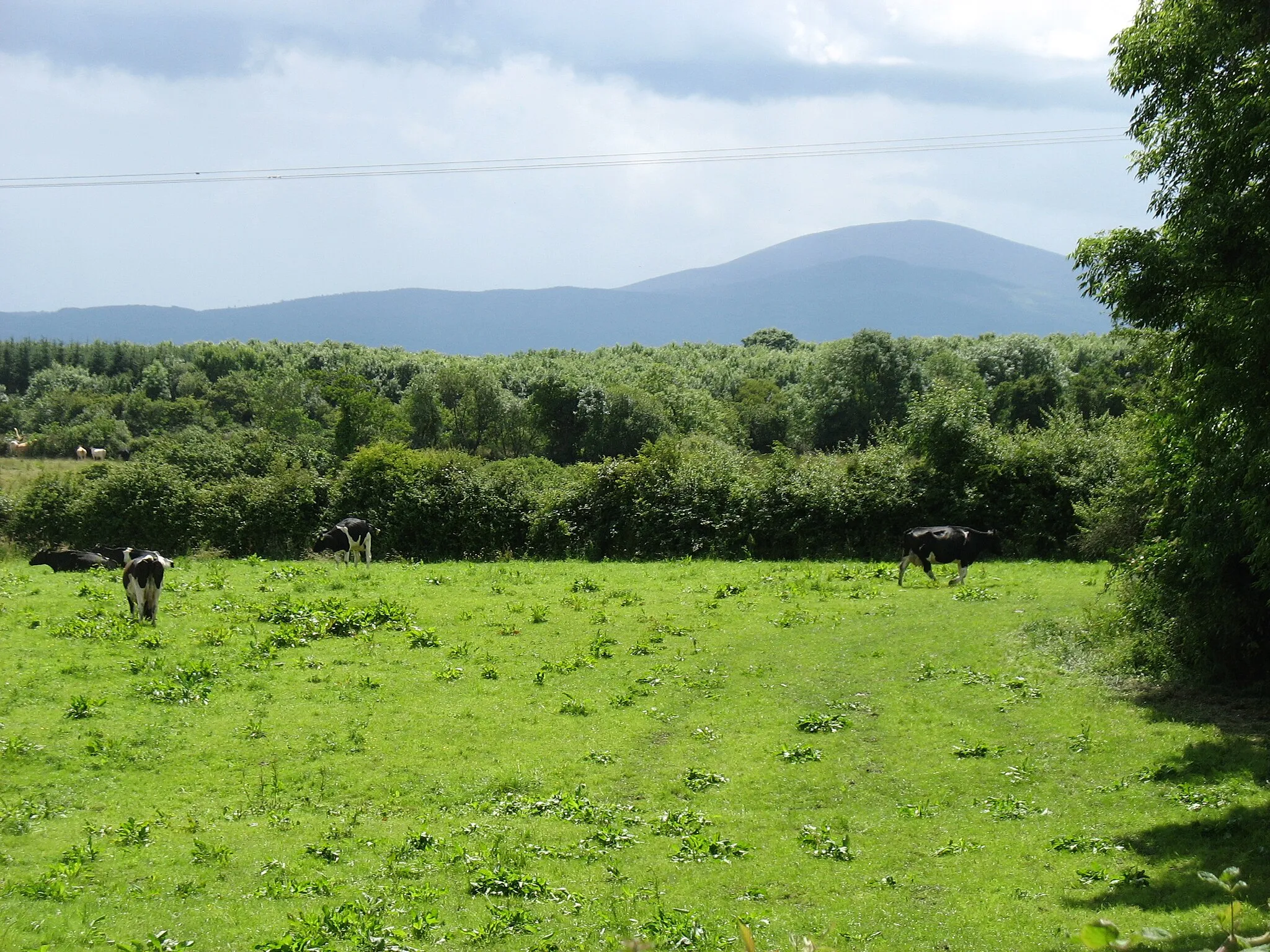Photo showing: Country east of Ballingarry
