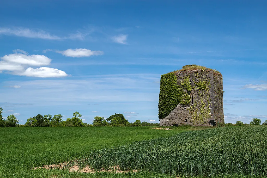 Photo showing: Castles of Leinster: Castle Columb, Kilkenny (2)