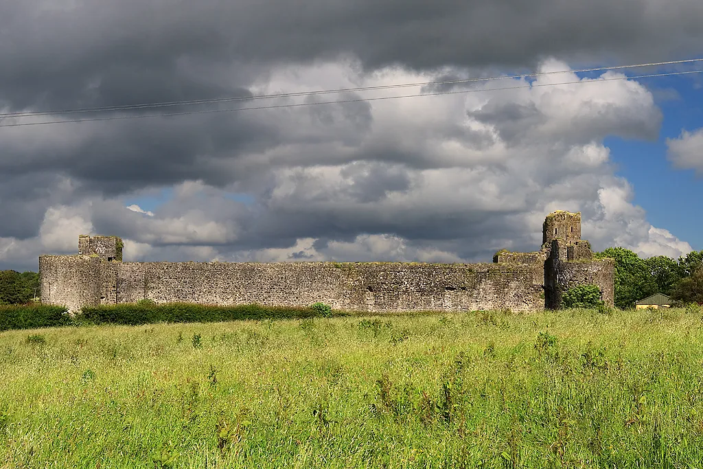 Photo showing: Castles of Munster: Liscarroll, Cork (2)