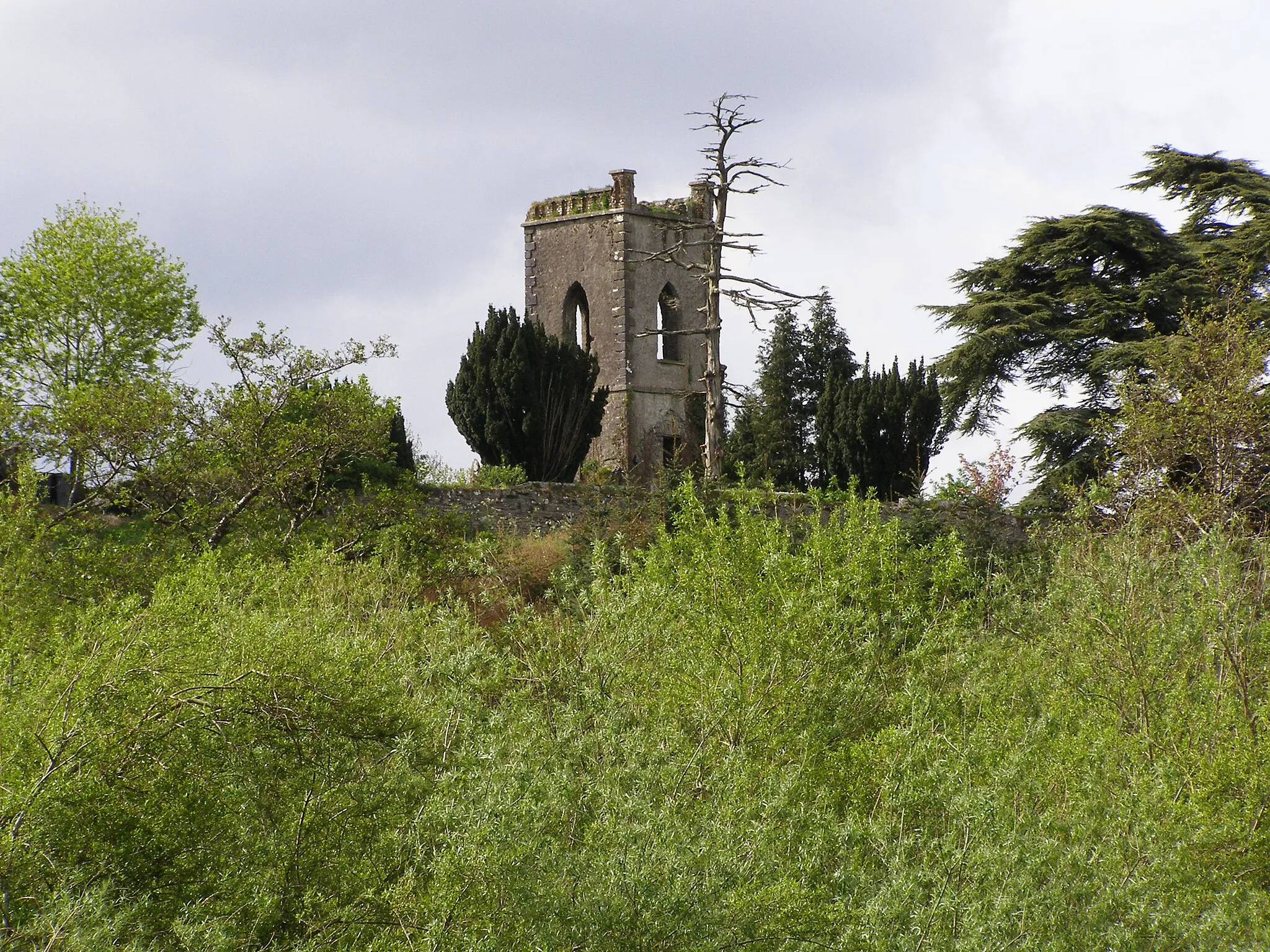 Photo showing: Ruins in Leighinbridge