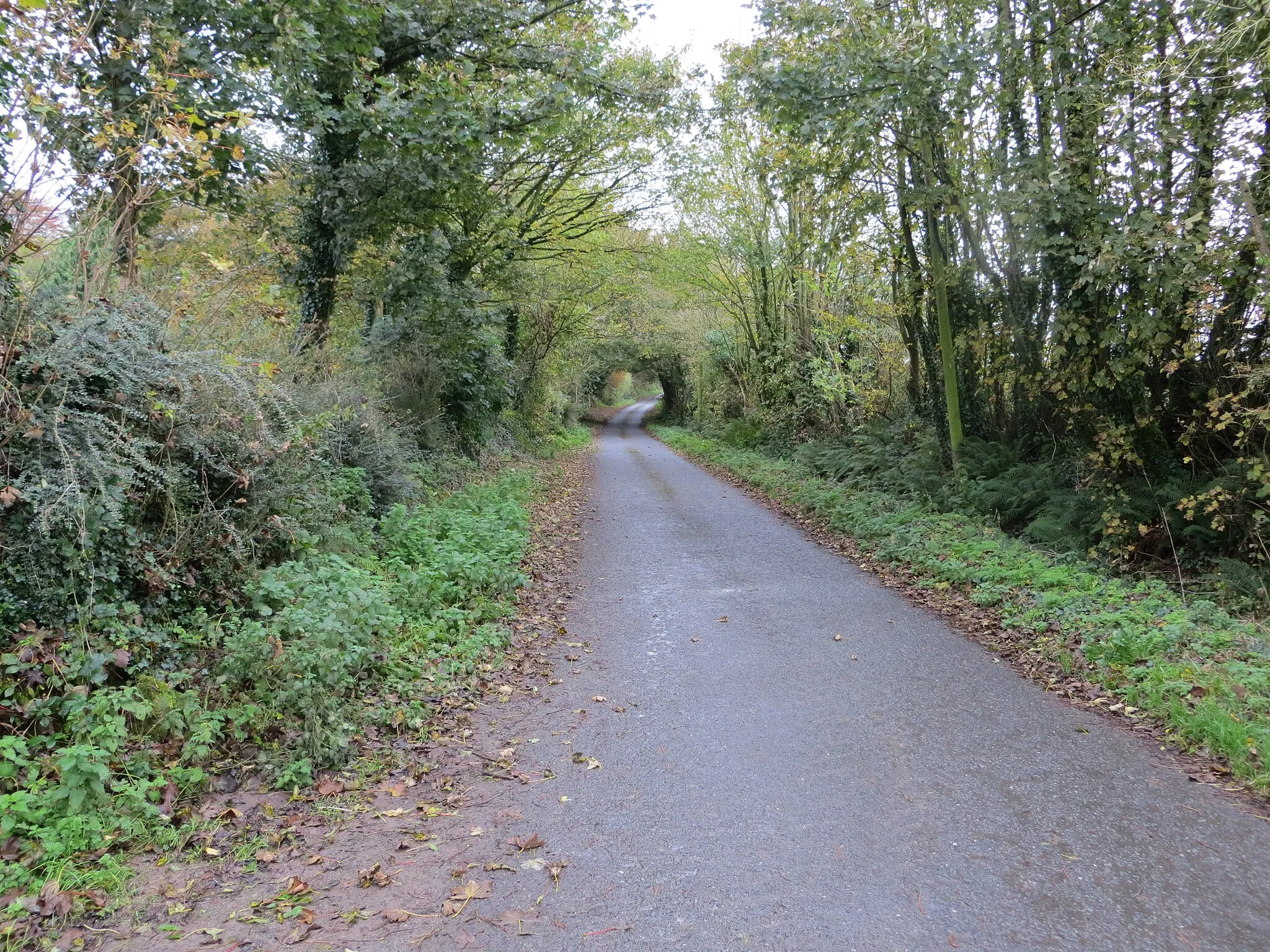 Photo showing: Road from Boshnetstown to L1511