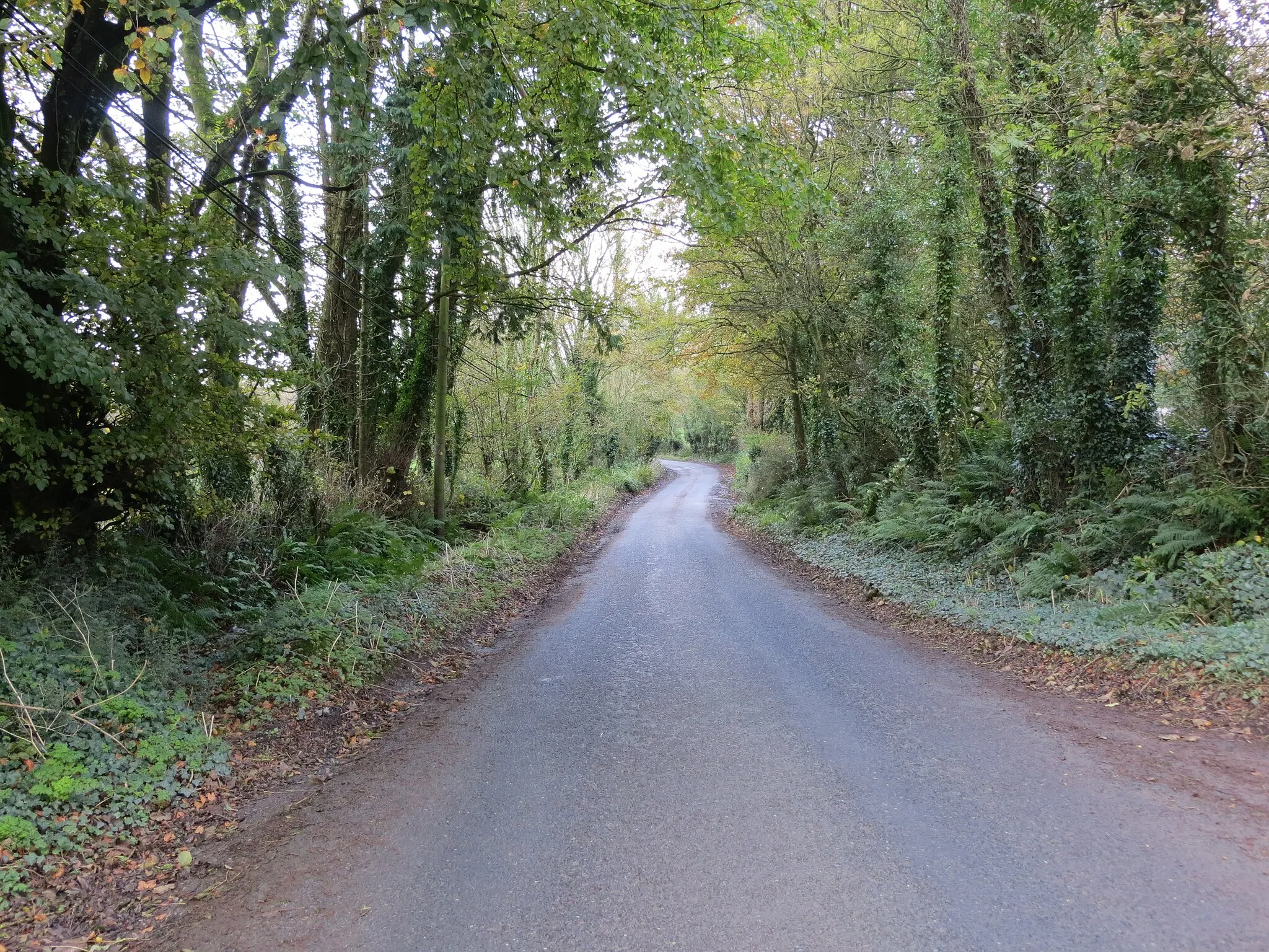 Photo showing: Road (L1521) between Ballinlyna Upper and Lower