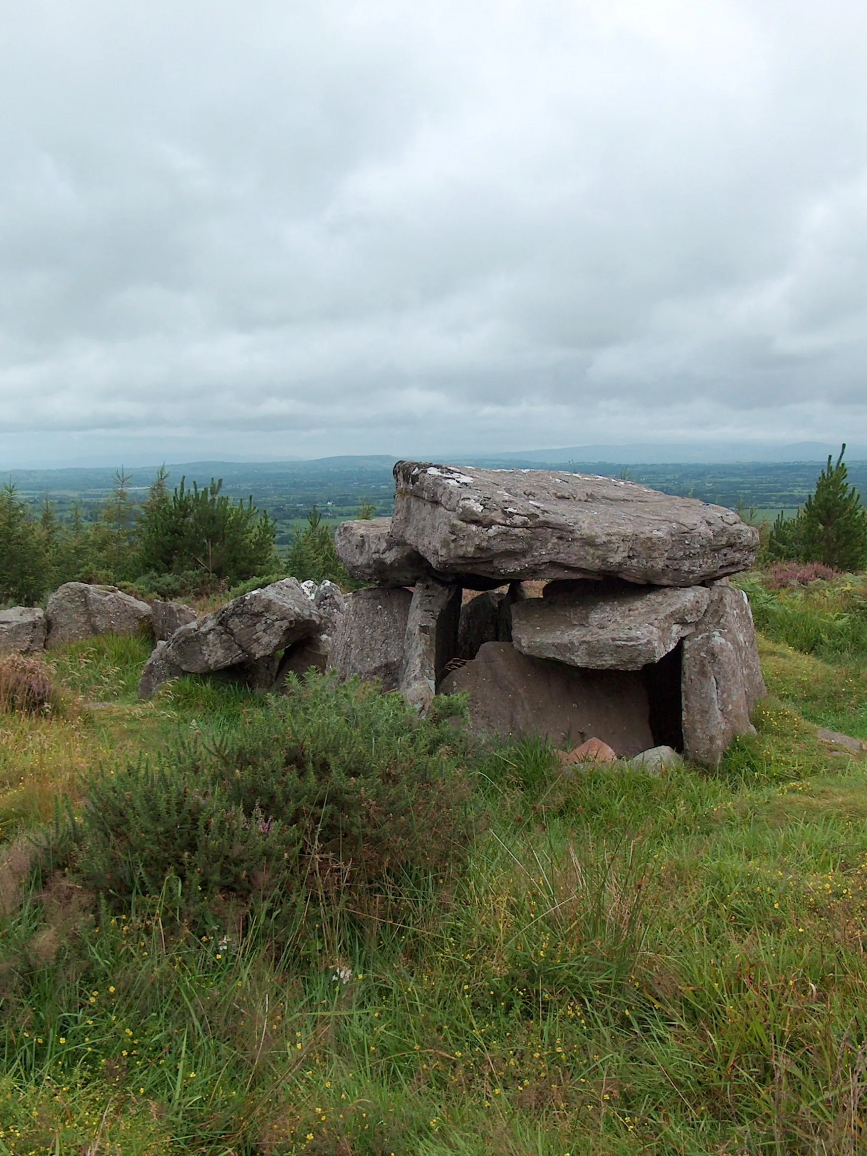 Photo showing: Megalithic Tomb, Duntryleague
