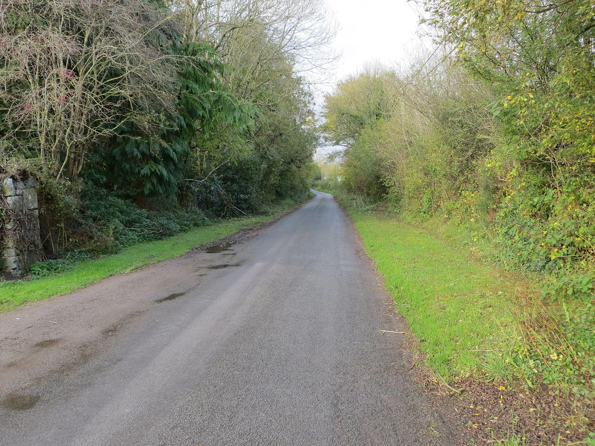 Photo showing: Road from Newtown (Doneraile) to Castlepook South