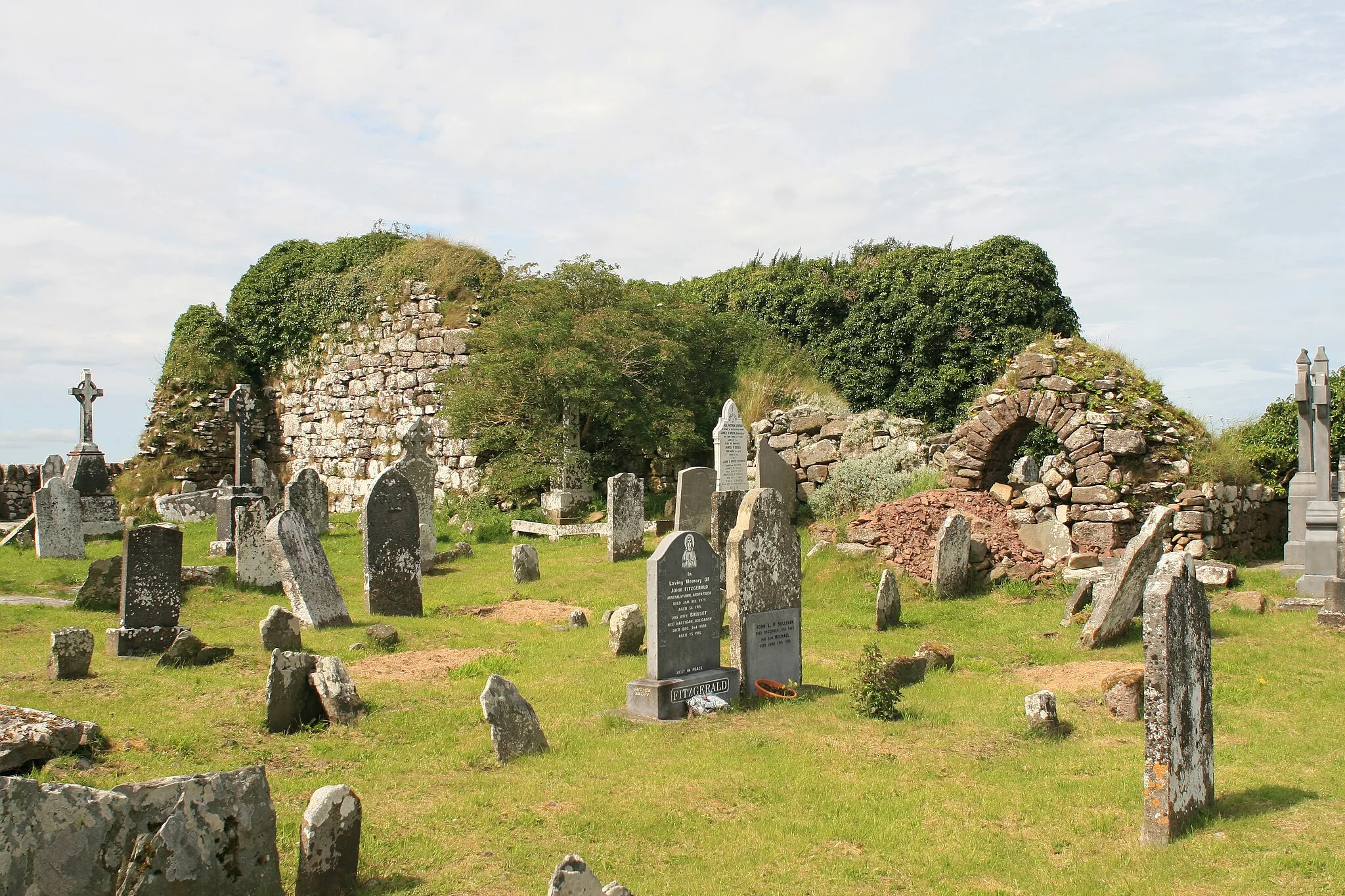 Photo showing: Ardpatrick, County Limerick, Ireland

Ruins of the church of the former monastery as seen from the south