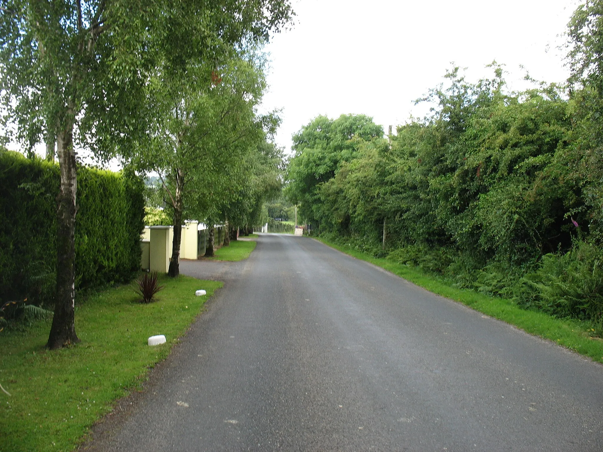 Photo showing: Leaving Knockananna, heading for Hacketstown