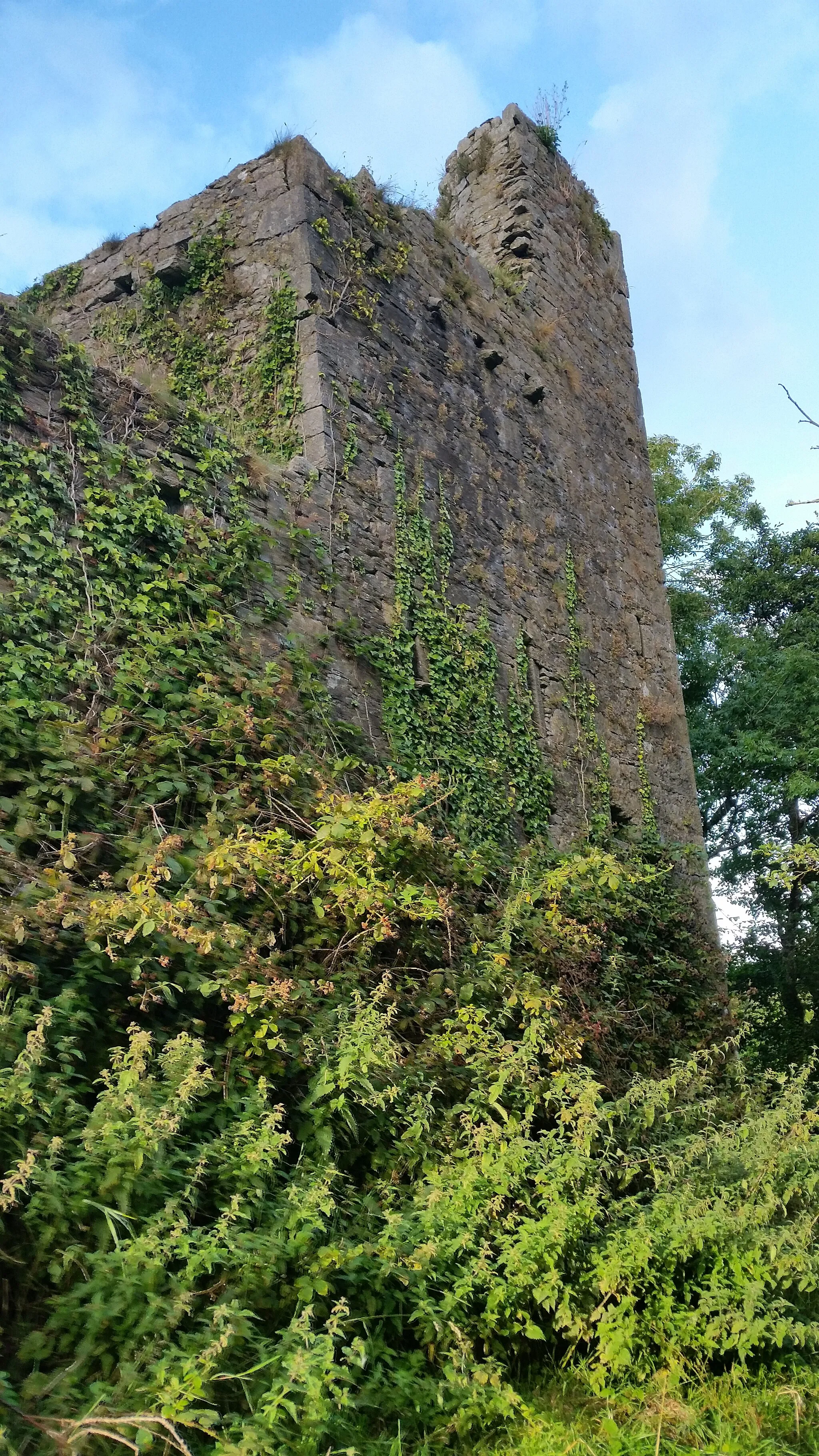 Photo showing: Kilcrea Castle Ruins: A view of the southeast tower taken from the southern approach