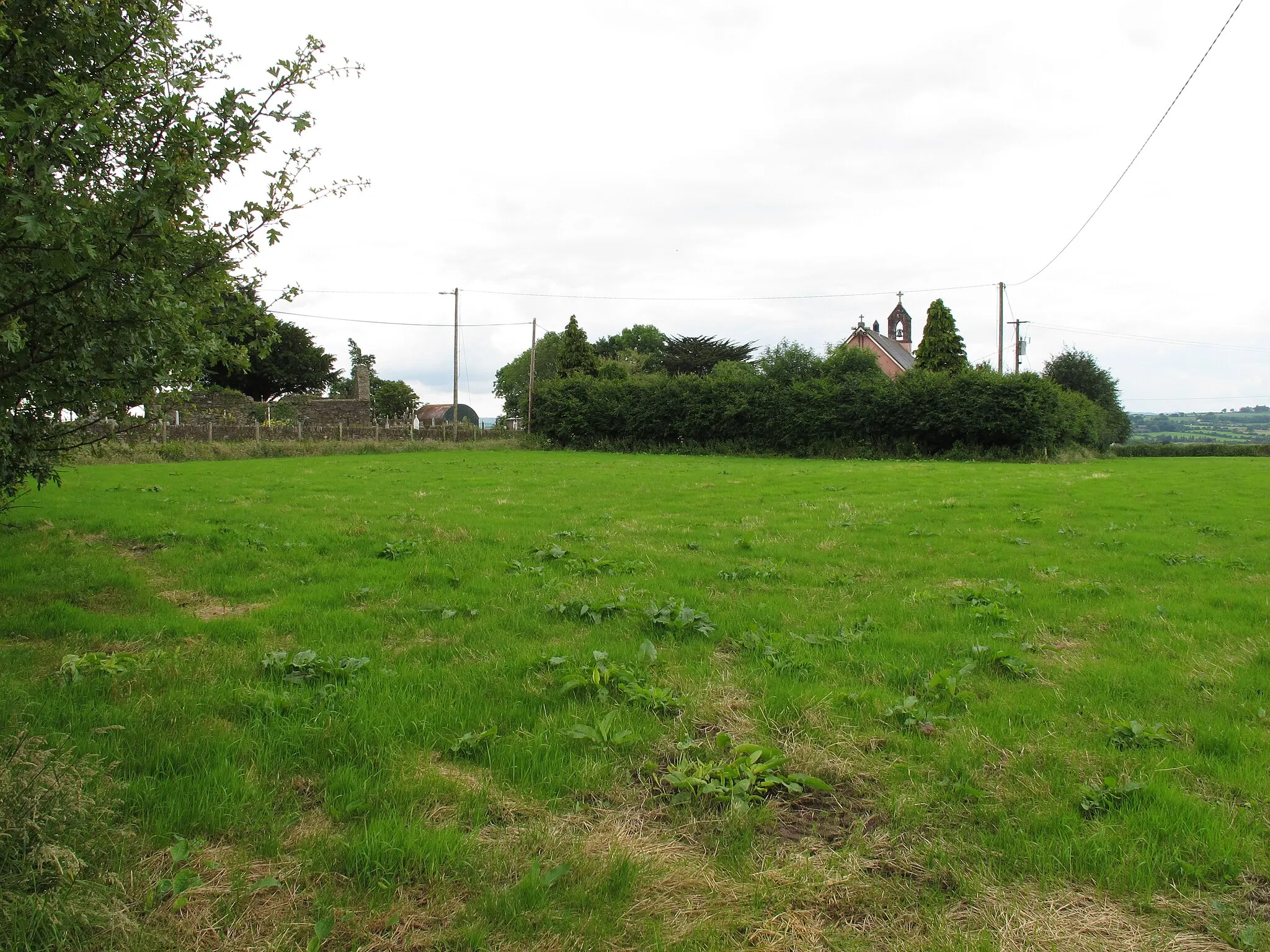 Photo showing: Pasture at Matehy