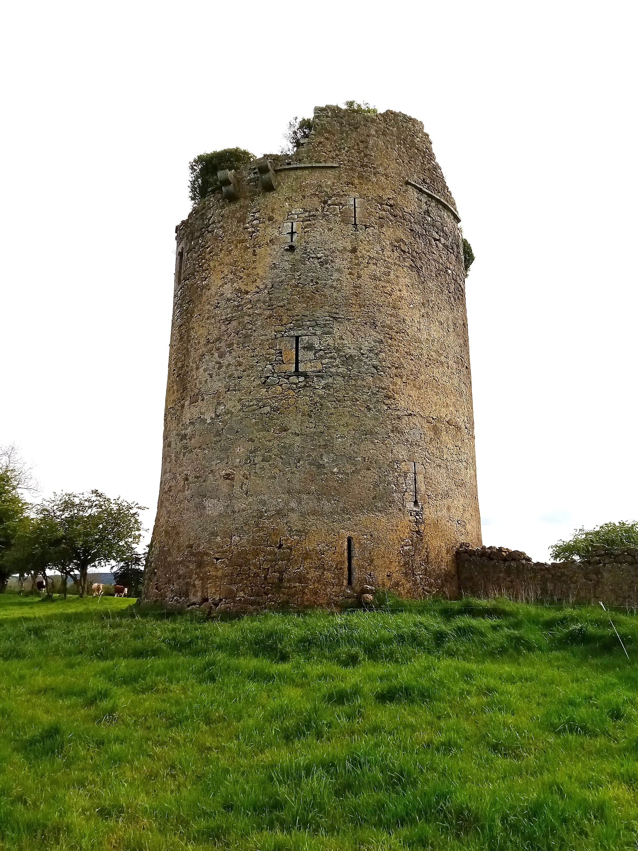 Photo showing: Balief Castle, a rare round tower house near Balief Cross Roads between Freshford and Urlingford in County Kilkenny