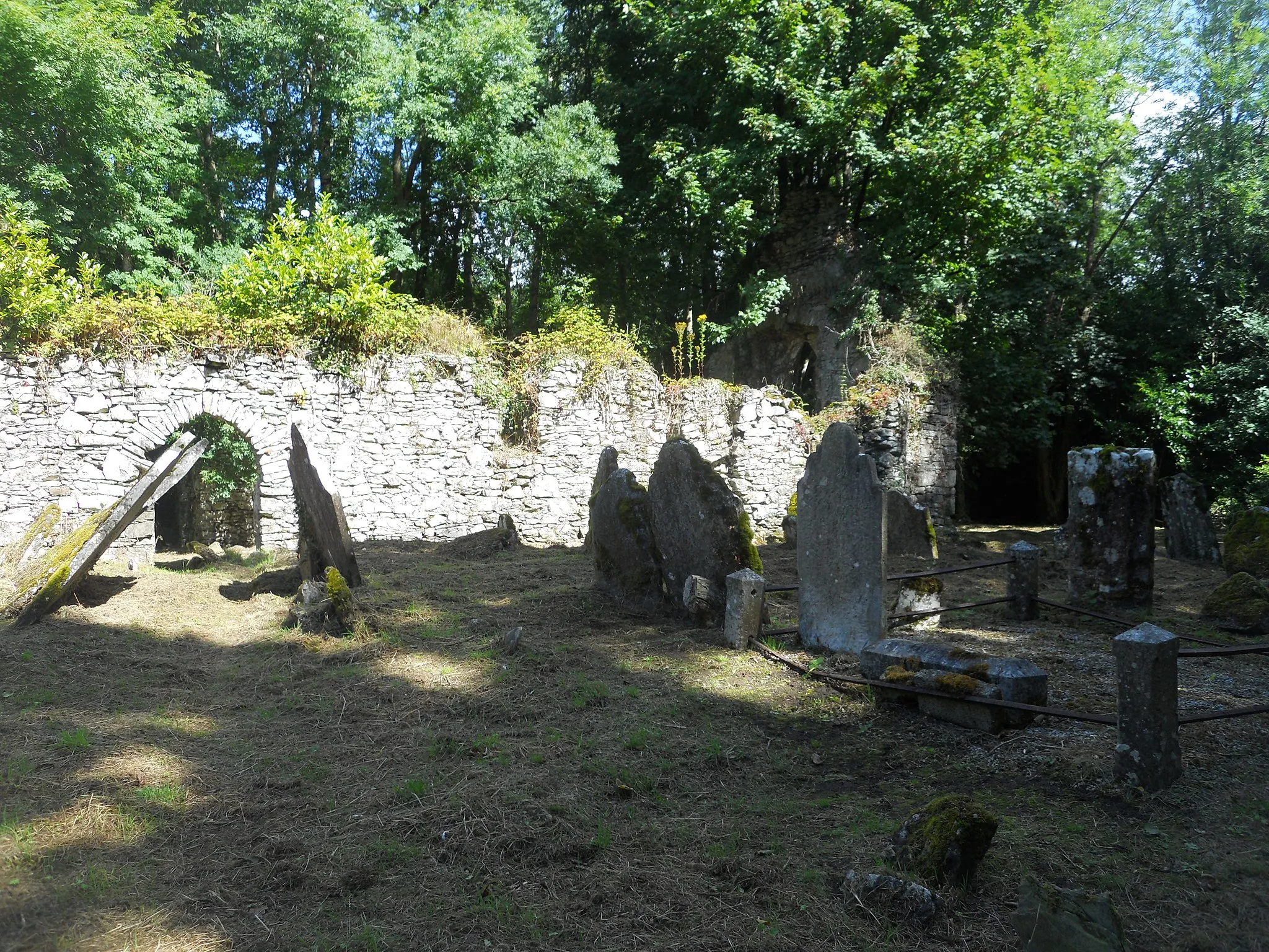 Photo showing: The ruins of Ballyoughtera Church (built 1549, destroyed 1641) on the grounds of Castlemartyr House, Imokilly, Cork, Ireland.
