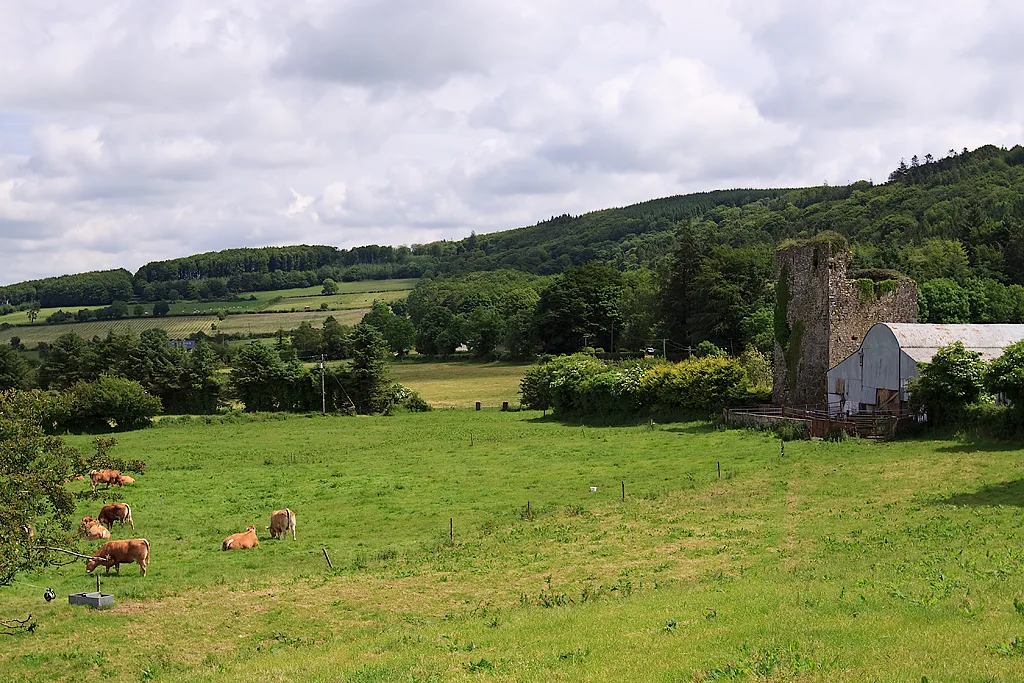 Photo showing: Castles of Munster: Kilcooley, Tipperary (2)