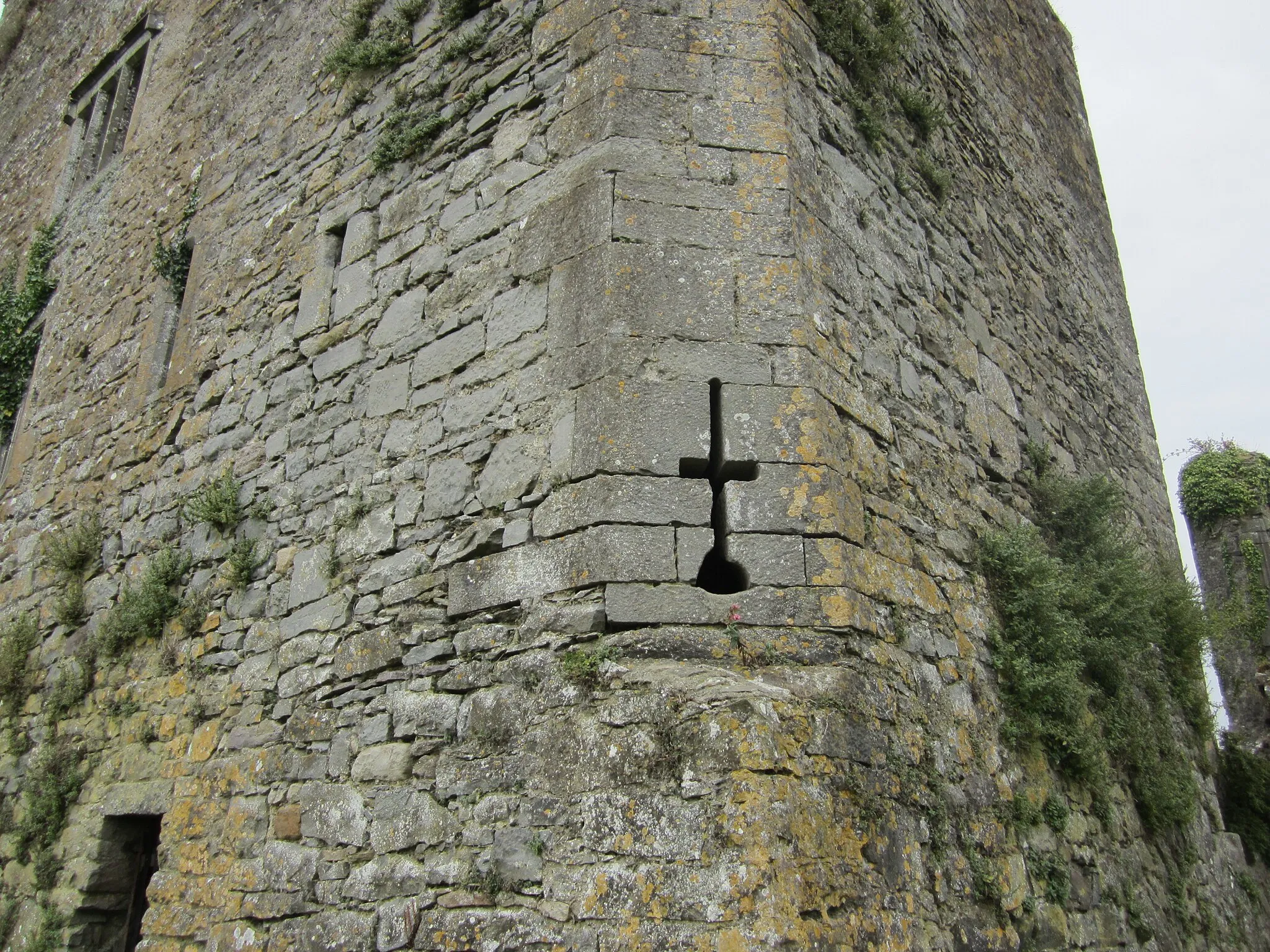 Photo showing: 13th Century Castle on the River Suir